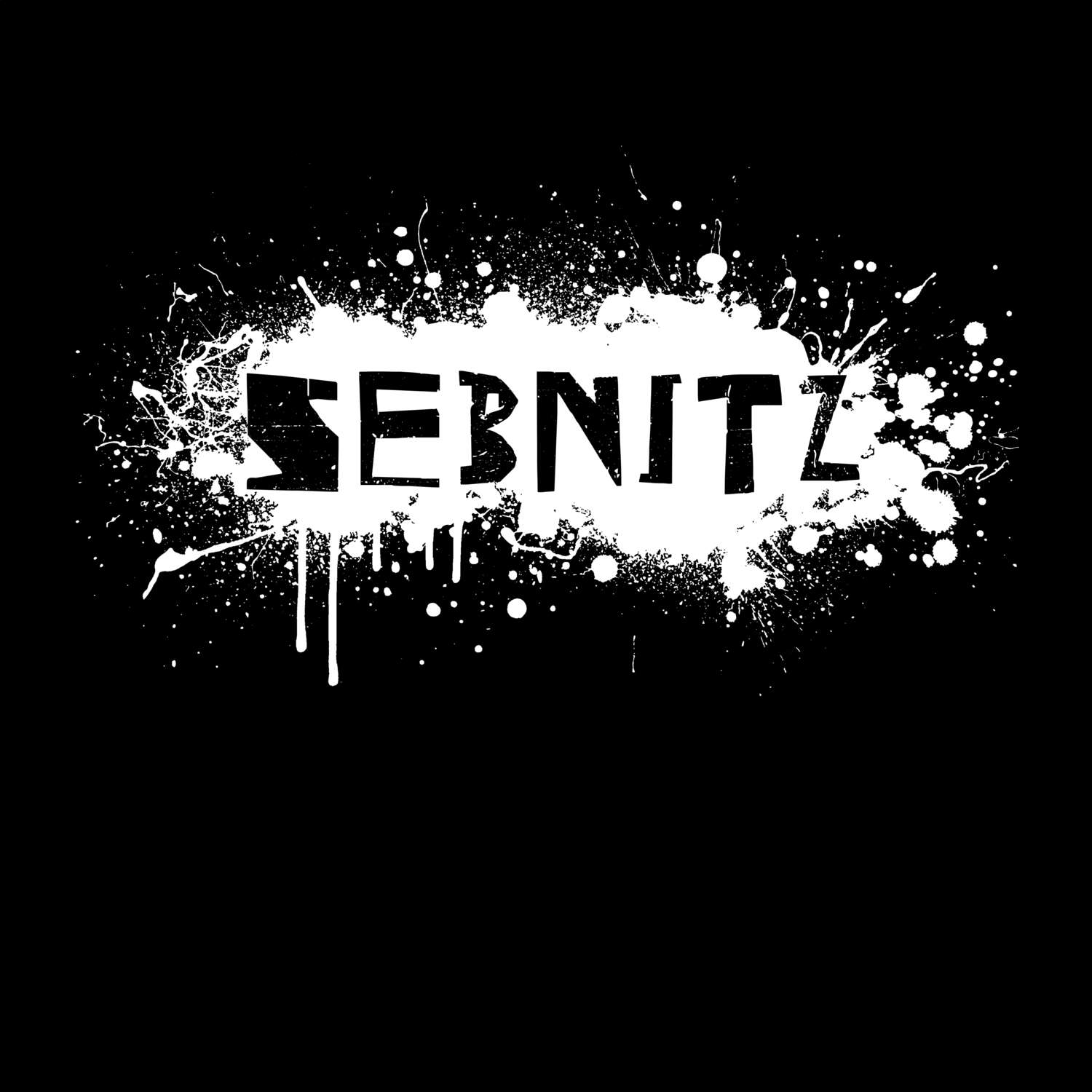 Sebnitz T-Shirt »Paint Splash Punk«