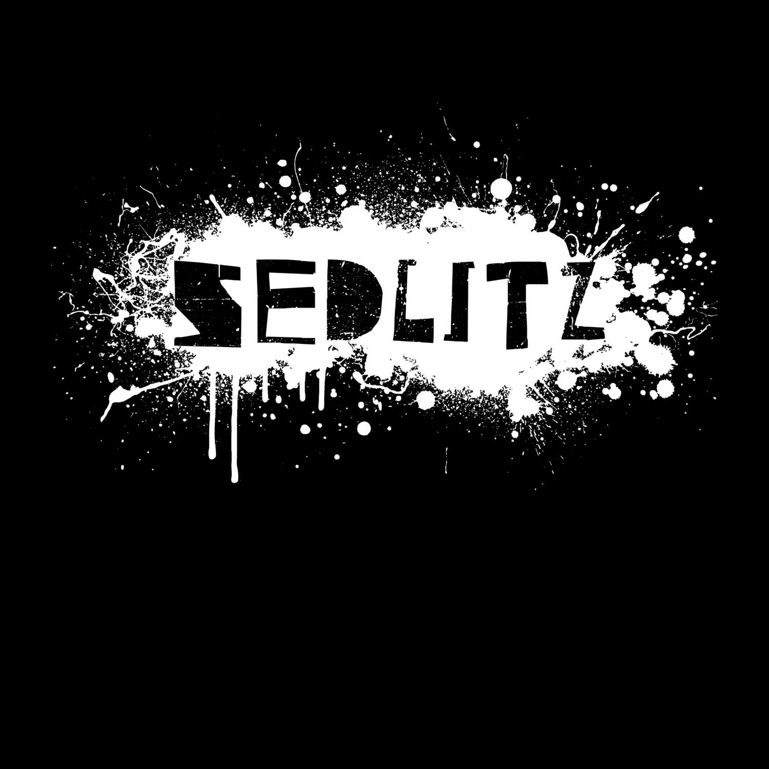 Sedlitz T-Shirt »Paint Splash Punk«