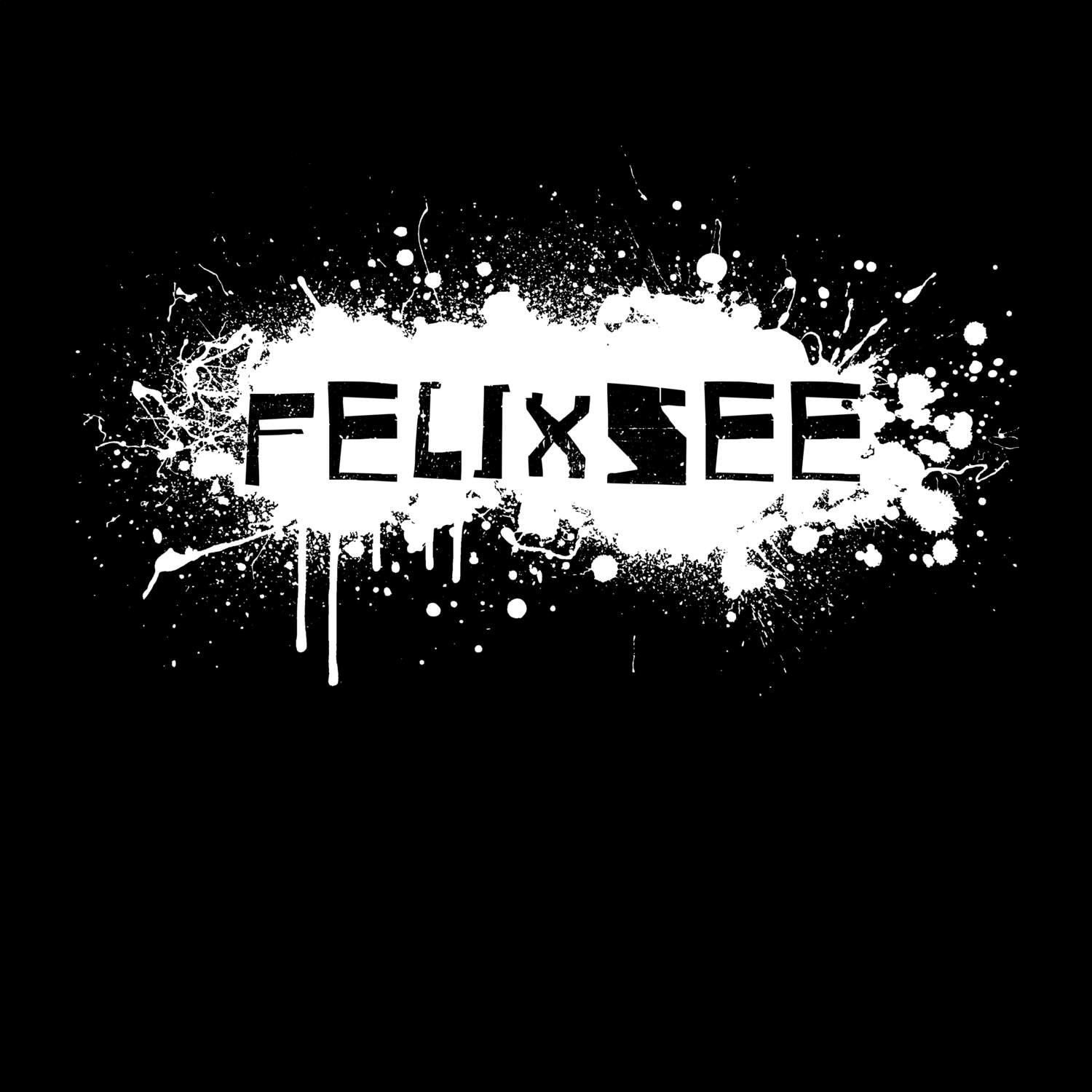 Felixsee T-Shirt »Paint Splash Punk«