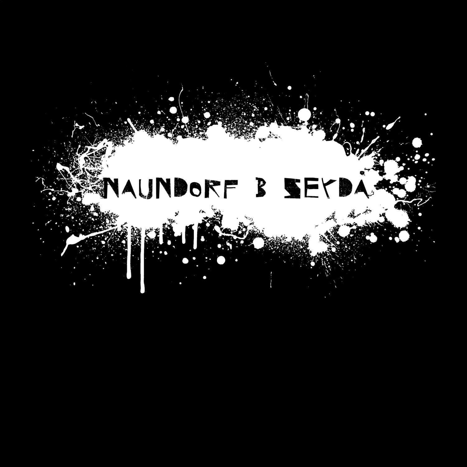 Naundorf b Seyda T-Shirt »Paint Splash Punk«