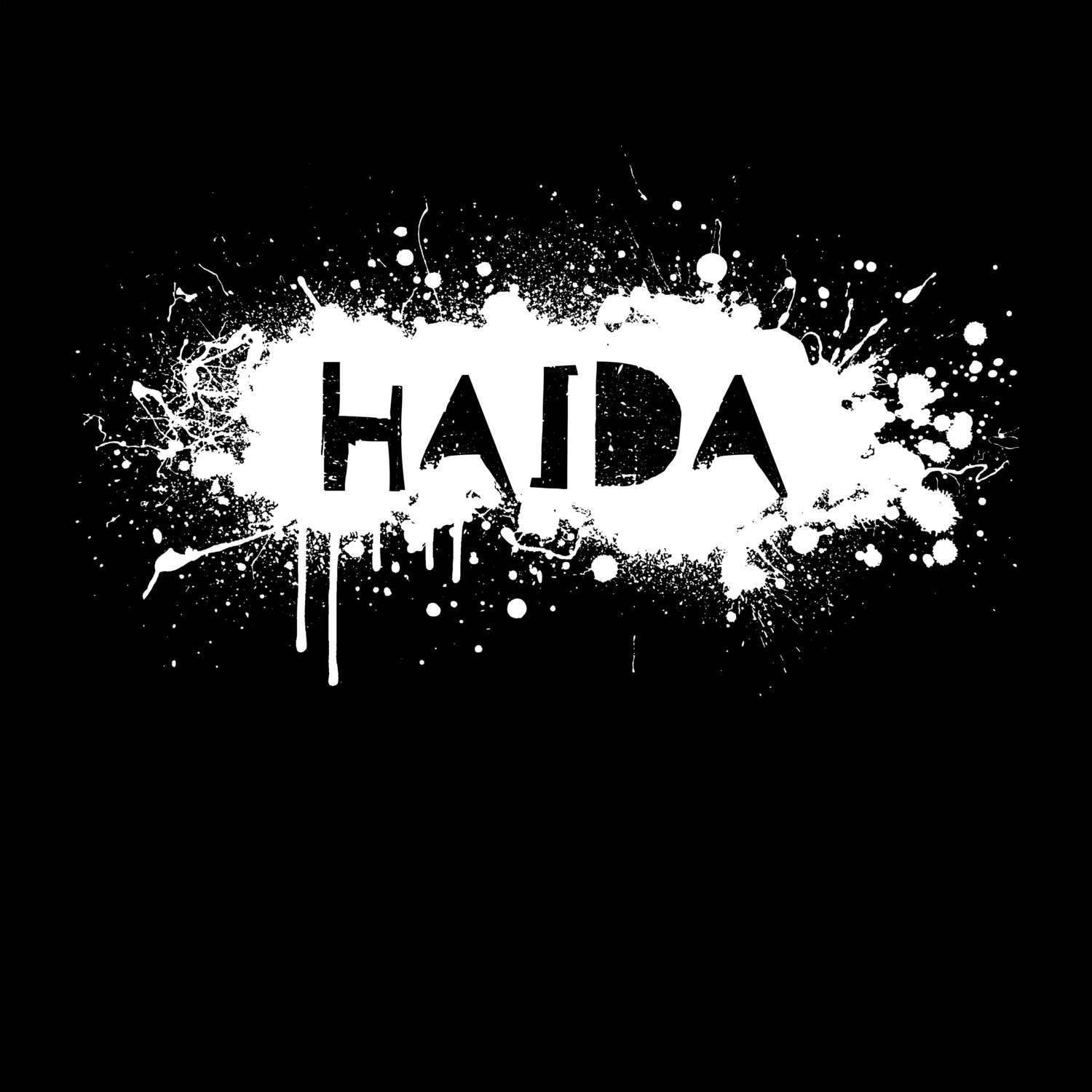 Haida T-Shirt »Paint Splash Punk«