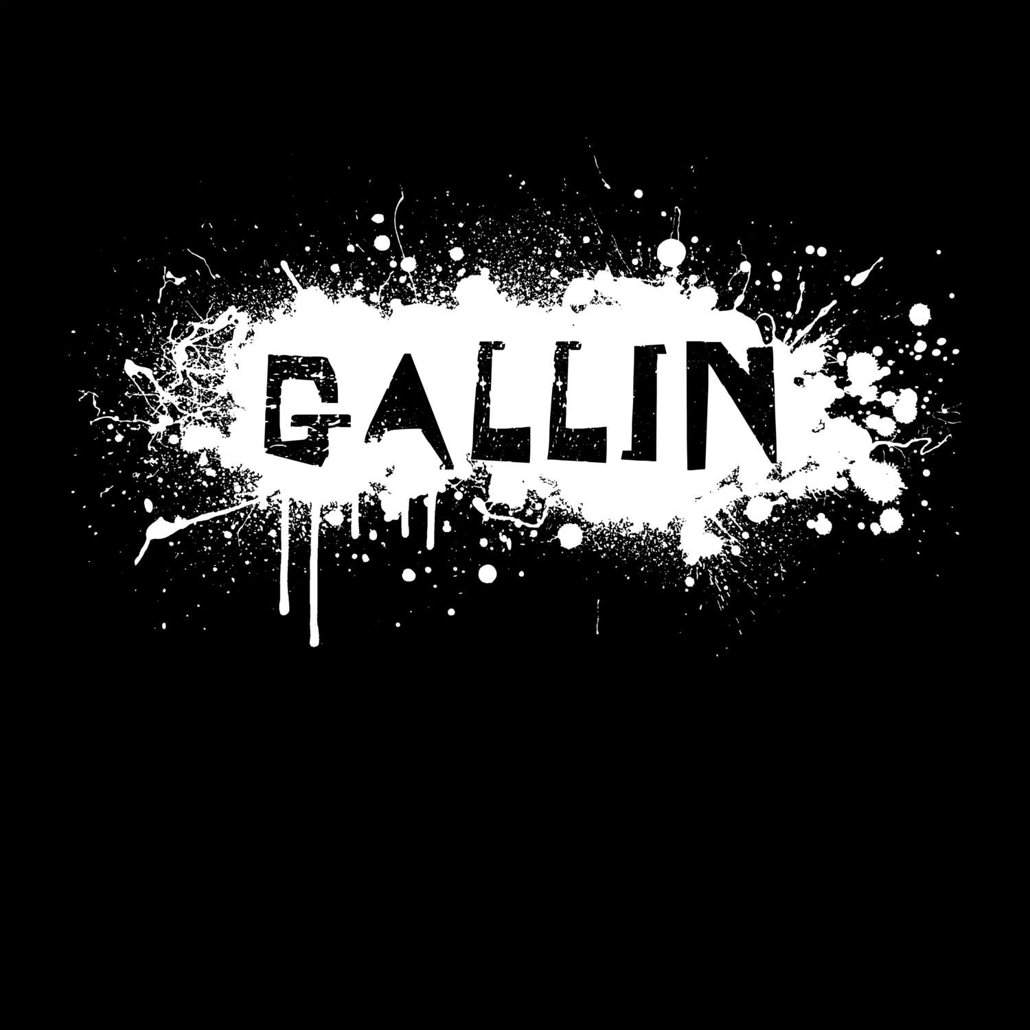Gallin T-Shirt »Paint Splash Punk«
