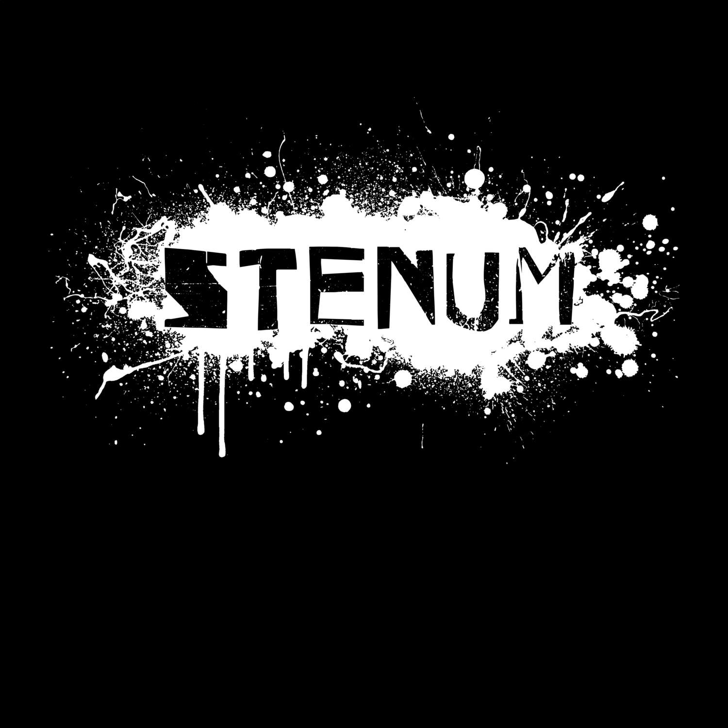 Stenum T-Shirt »Paint Splash Punk«