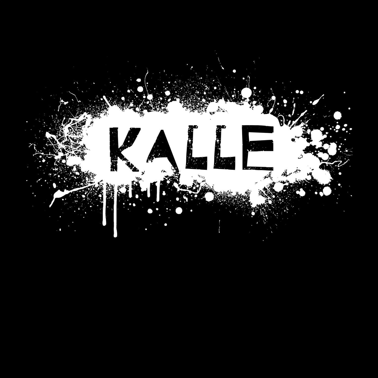 Kalle T-Shirt »Paint Splash Punk«