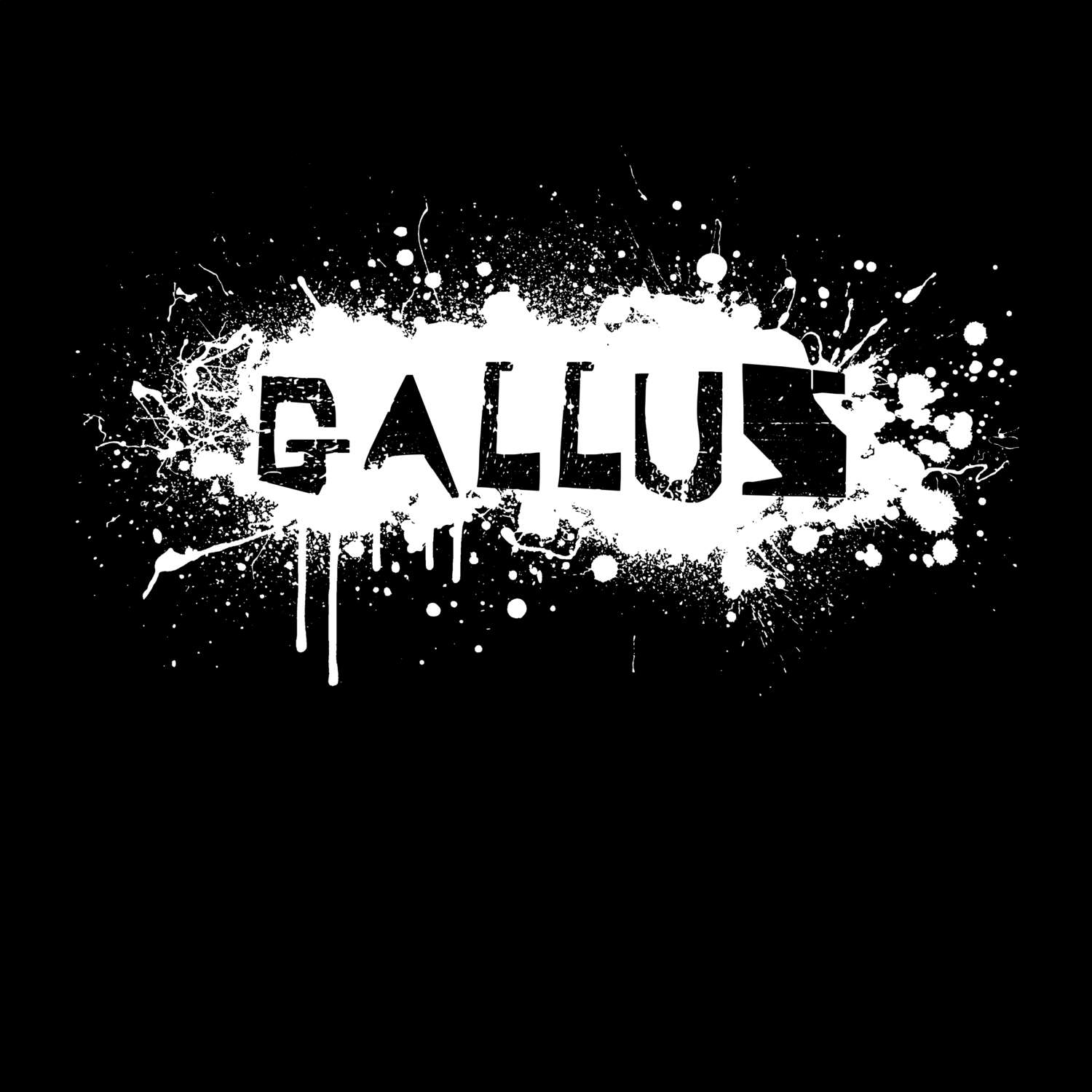 Gallus T-Shirt »Paint Splash Punk«