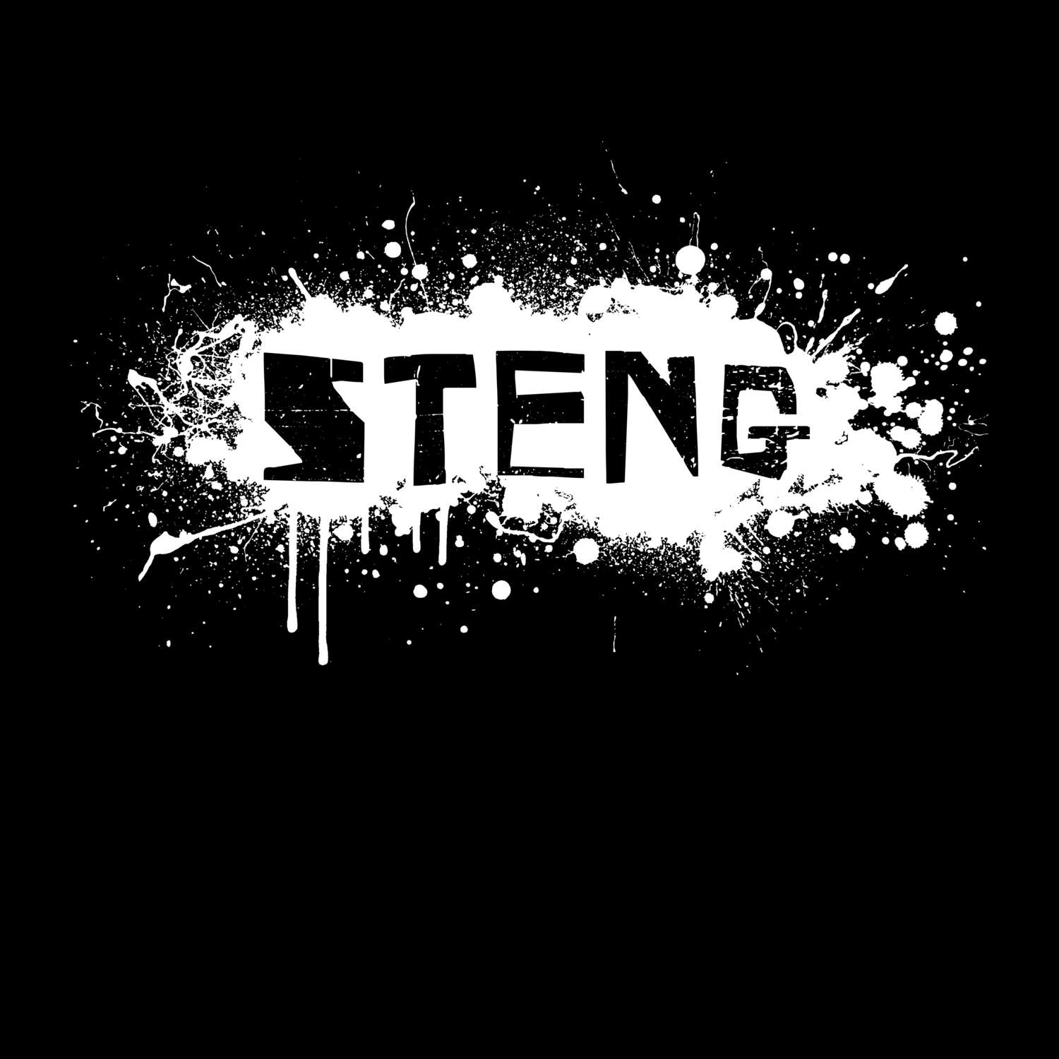 Steng T-Shirt »Paint Splash Punk«