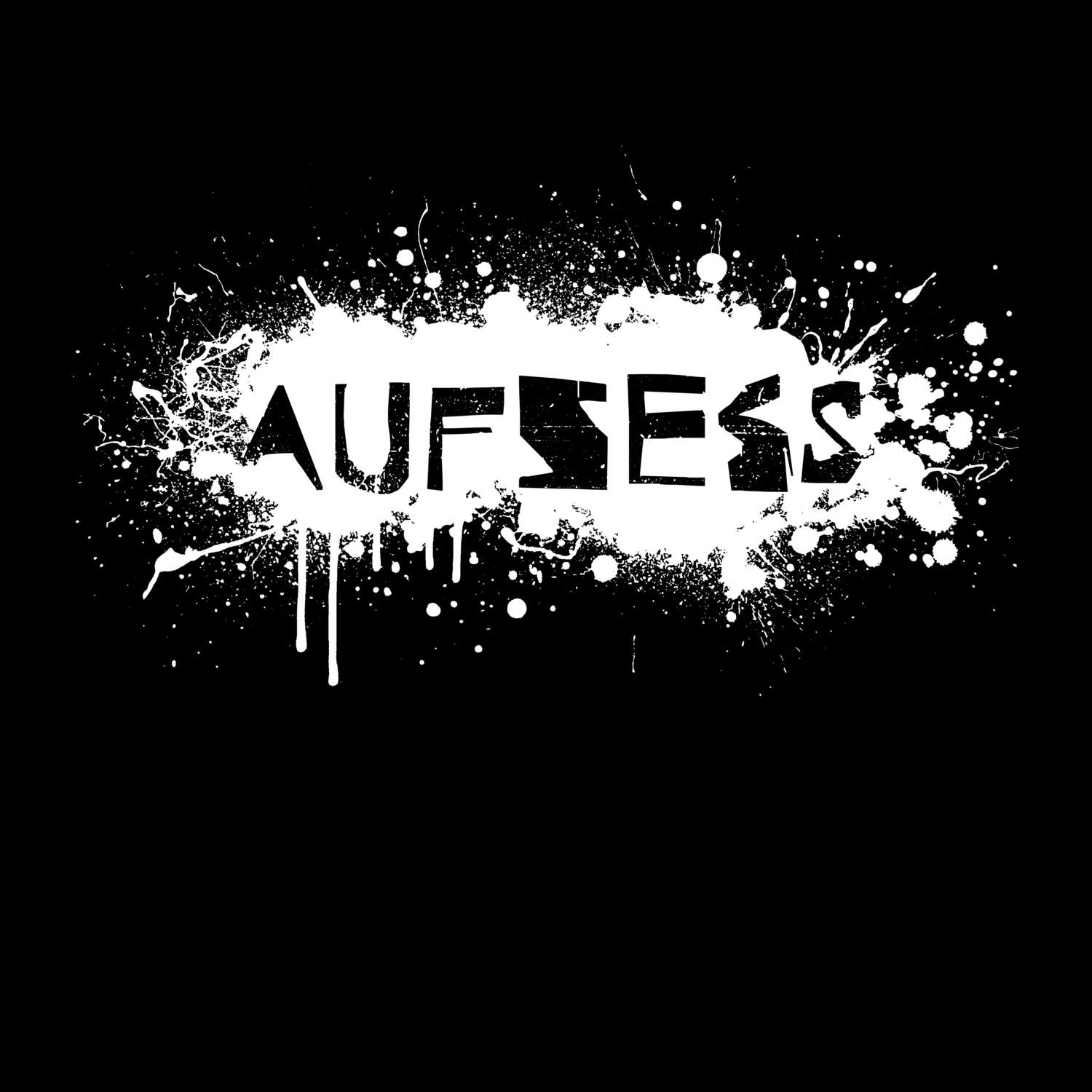 Aufseß T-Shirt »Paint Splash Punk«