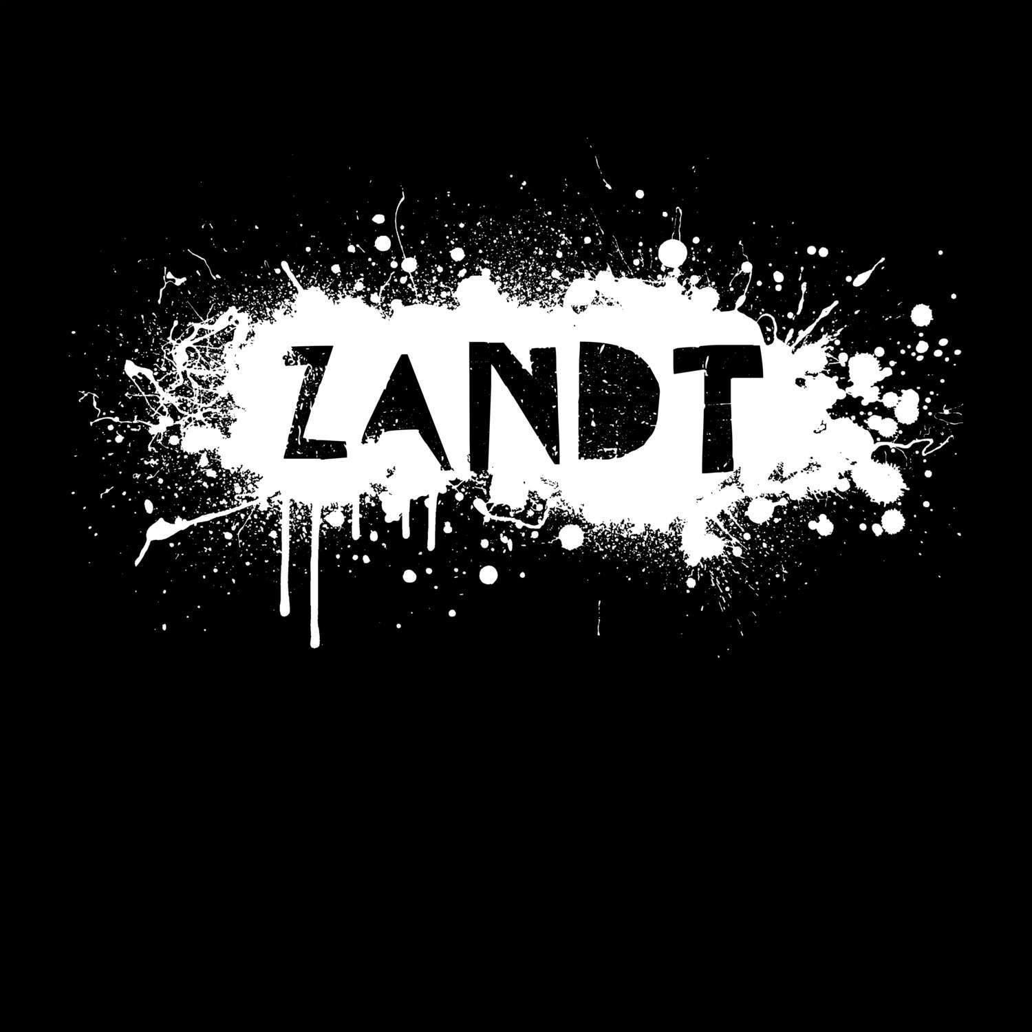 Zandt T-Shirt »Paint Splash Punk«