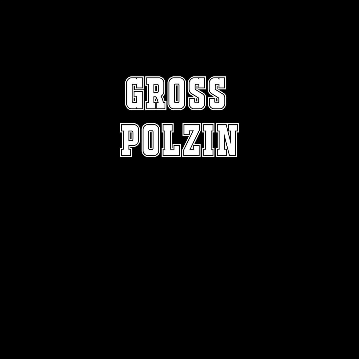 Groß Polzin T-Shirt »Classic«