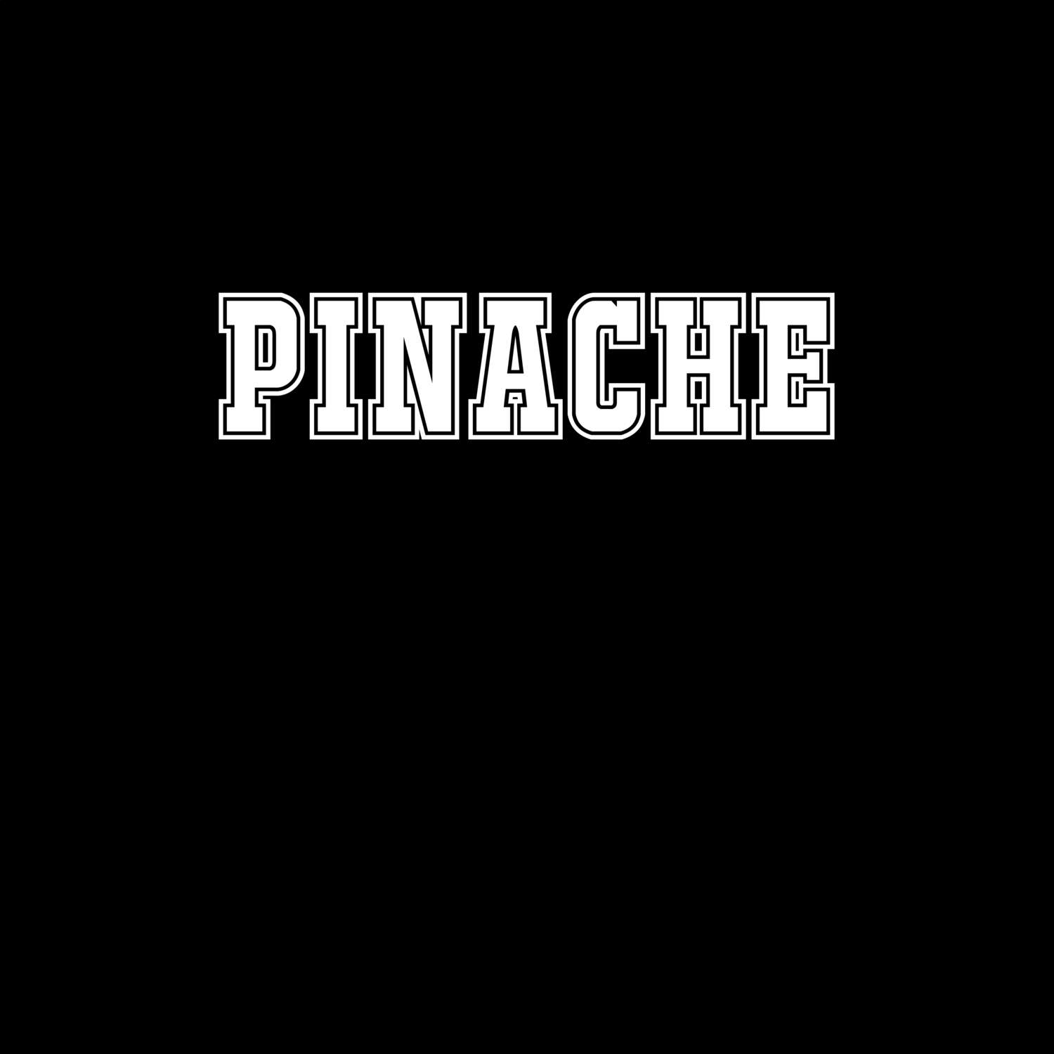 Pinache T-Shirt »Classic«