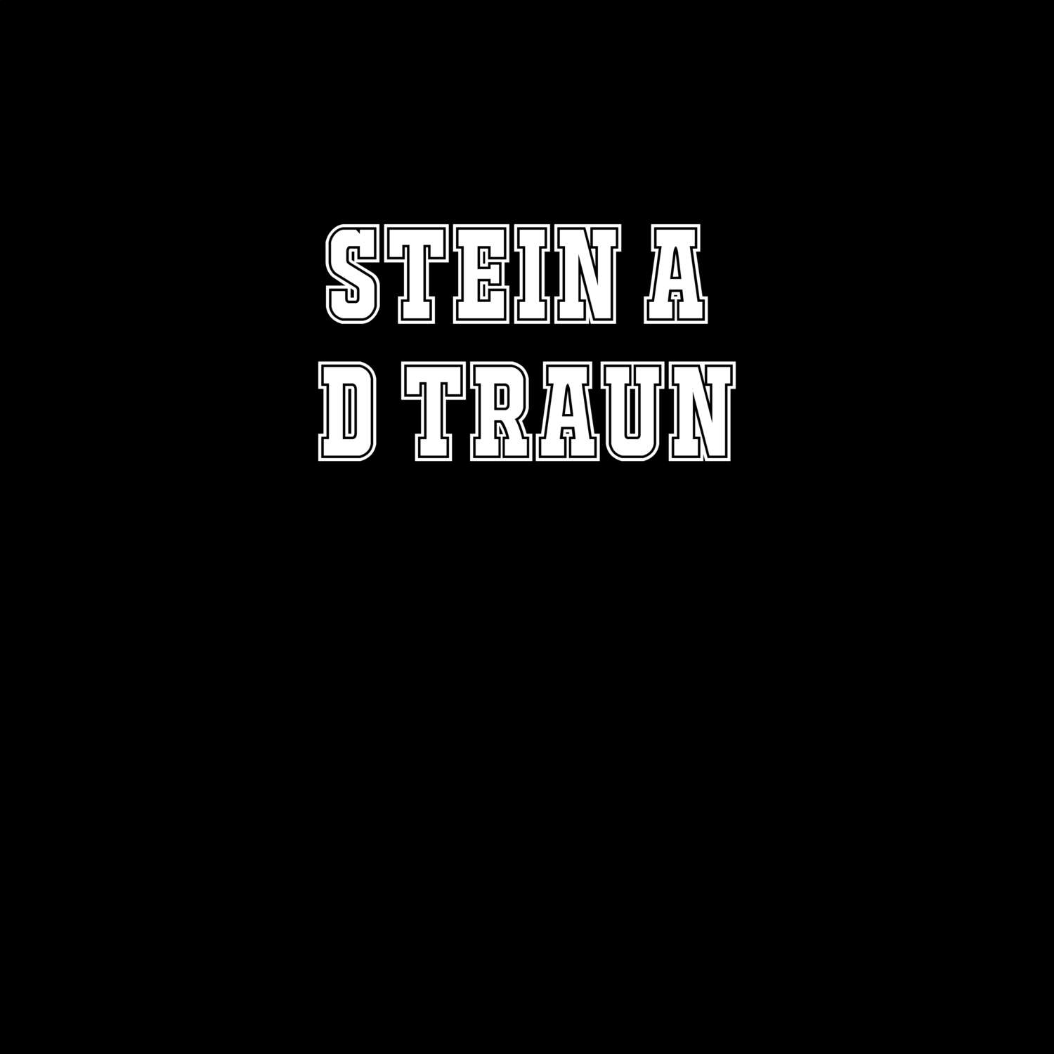 Stein a d Traun T-Shirt »Classic«