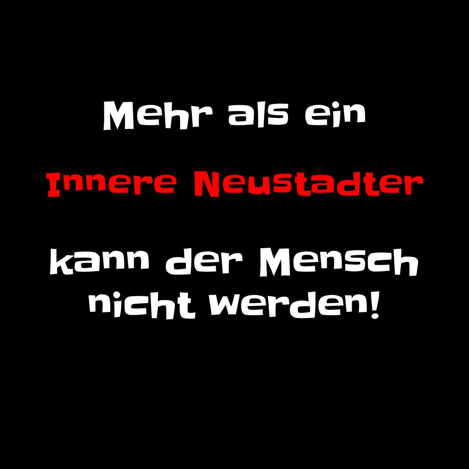 Innere Neustadt T-Shirt »Mehr als ein«