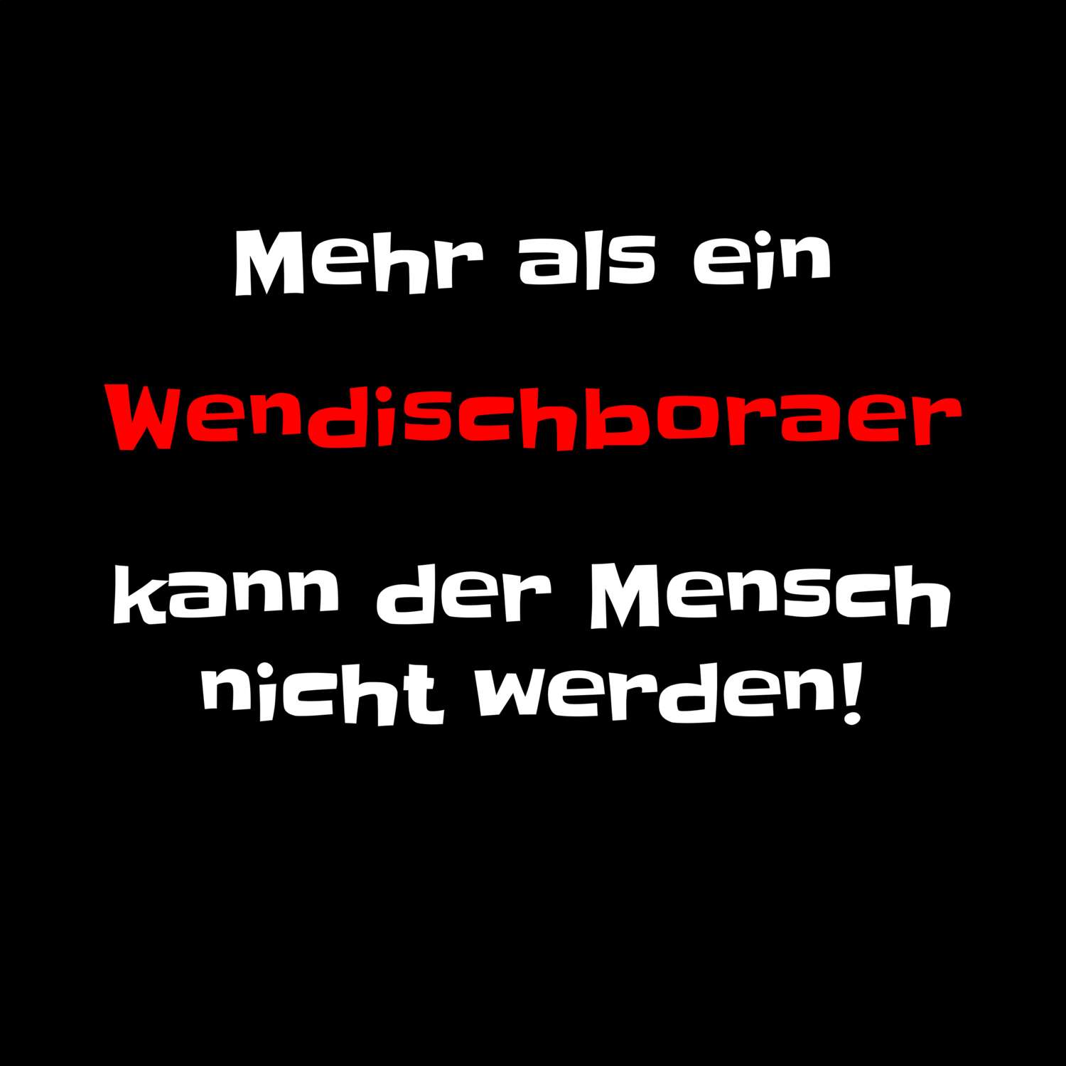 Wendischbora T-Shirt »Mehr als ein«