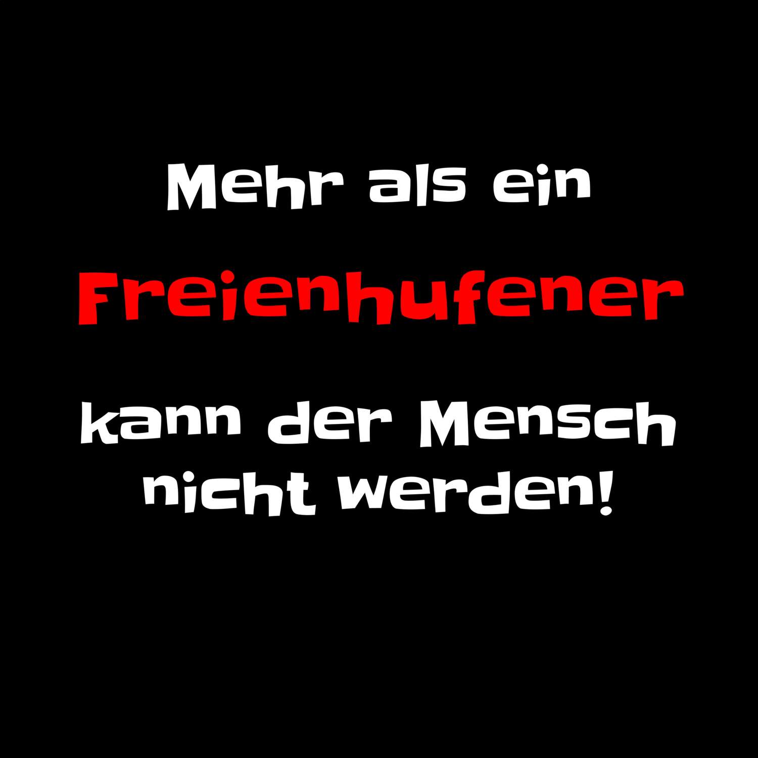 Freienhufen T-Shirt »Mehr als ein«