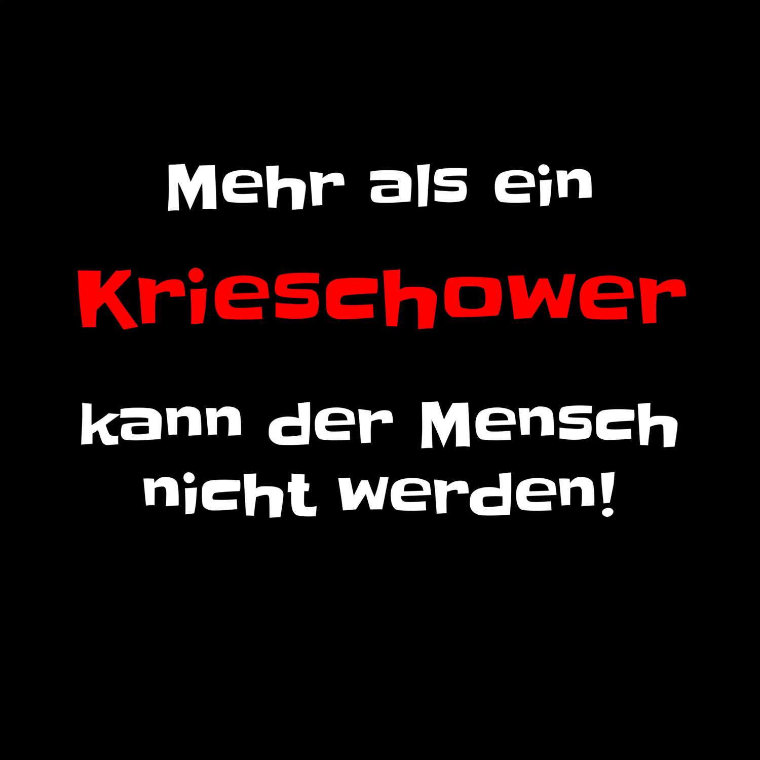 Krieschow T-Shirt »Mehr als ein«