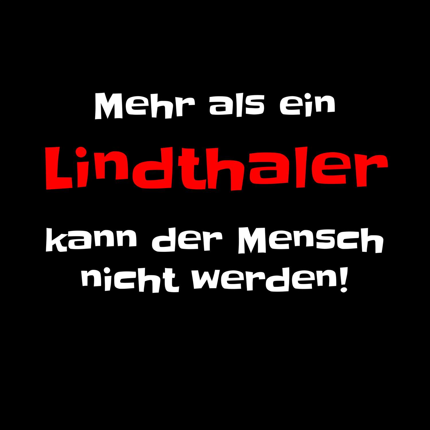 Lindthal T-Shirt »Mehr als ein«