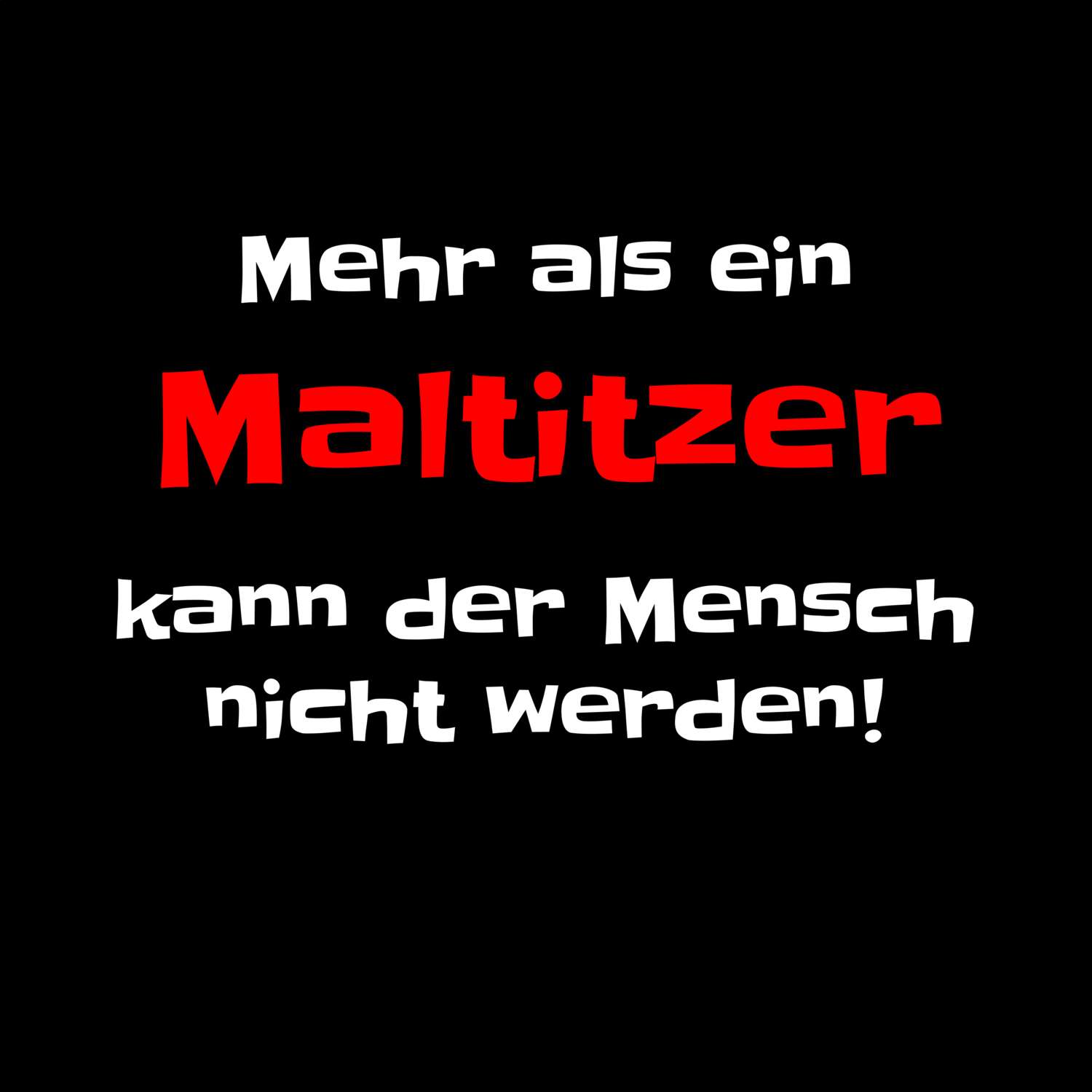 Maltitz T-Shirt »Mehr als ein«