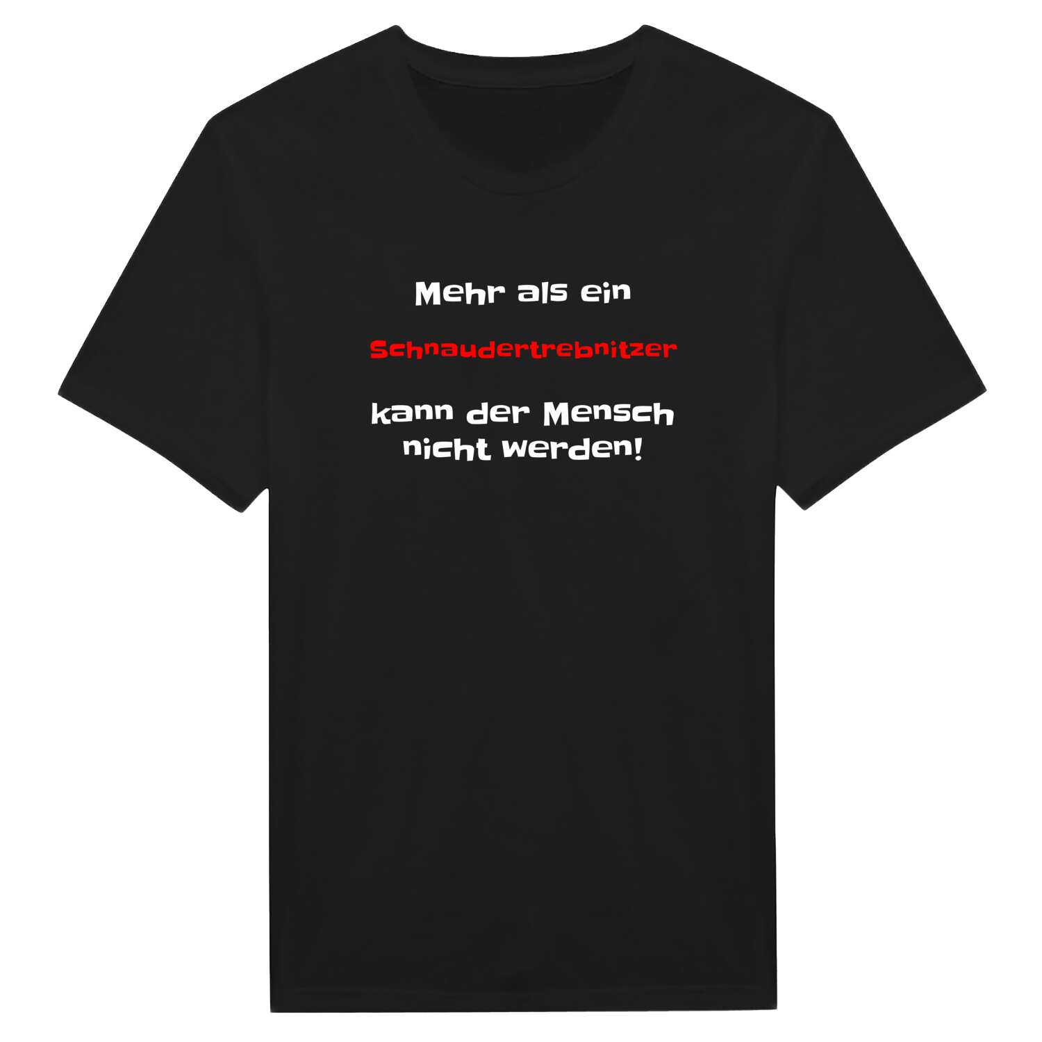 Schnaudertrebnitz T-Shirt »Mehr als ein«