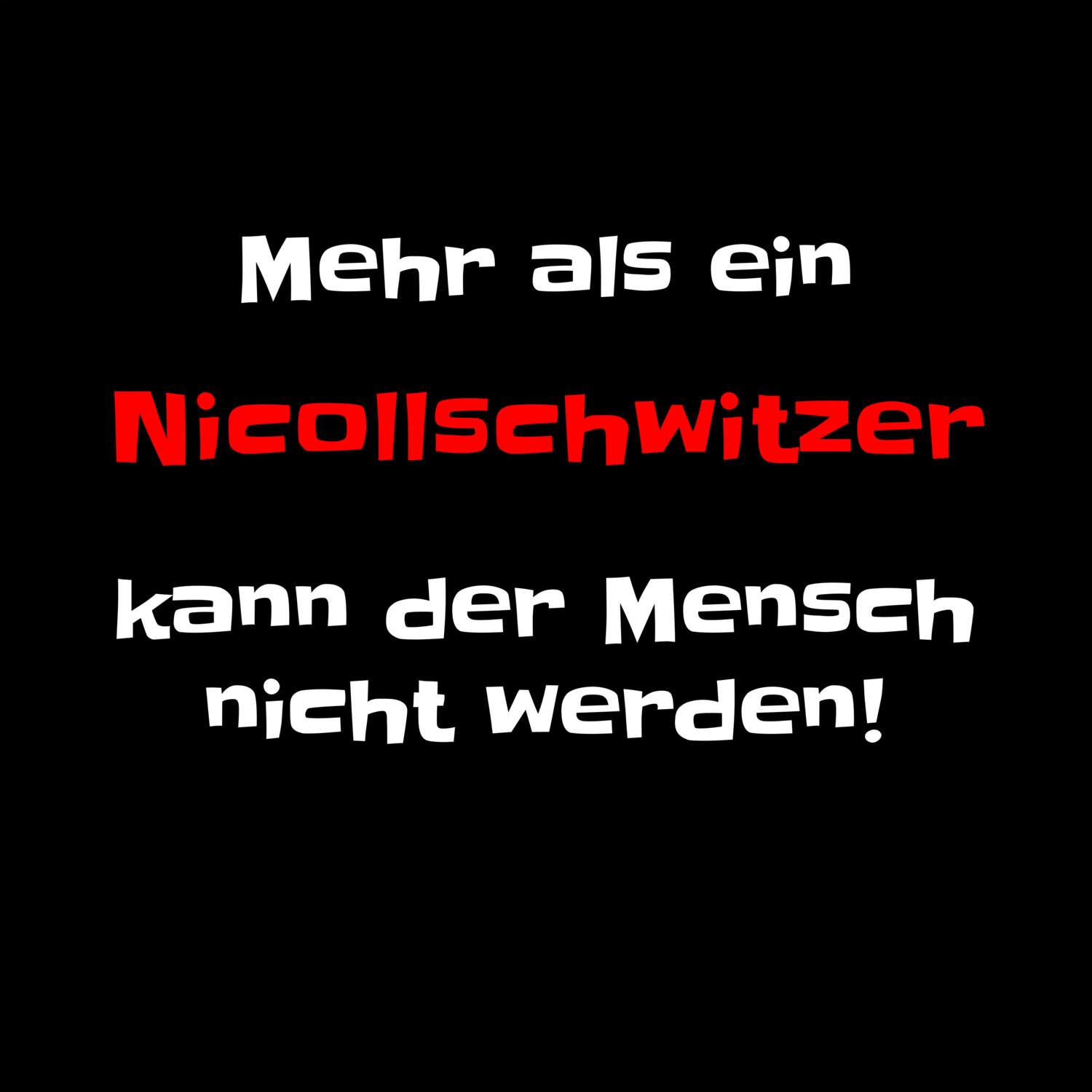 Nicollschwitz T-Shirt »Mehr als ein«