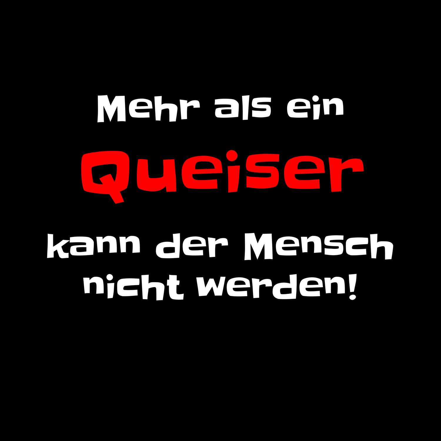 Queis T-Shirt »Mehr als ein«