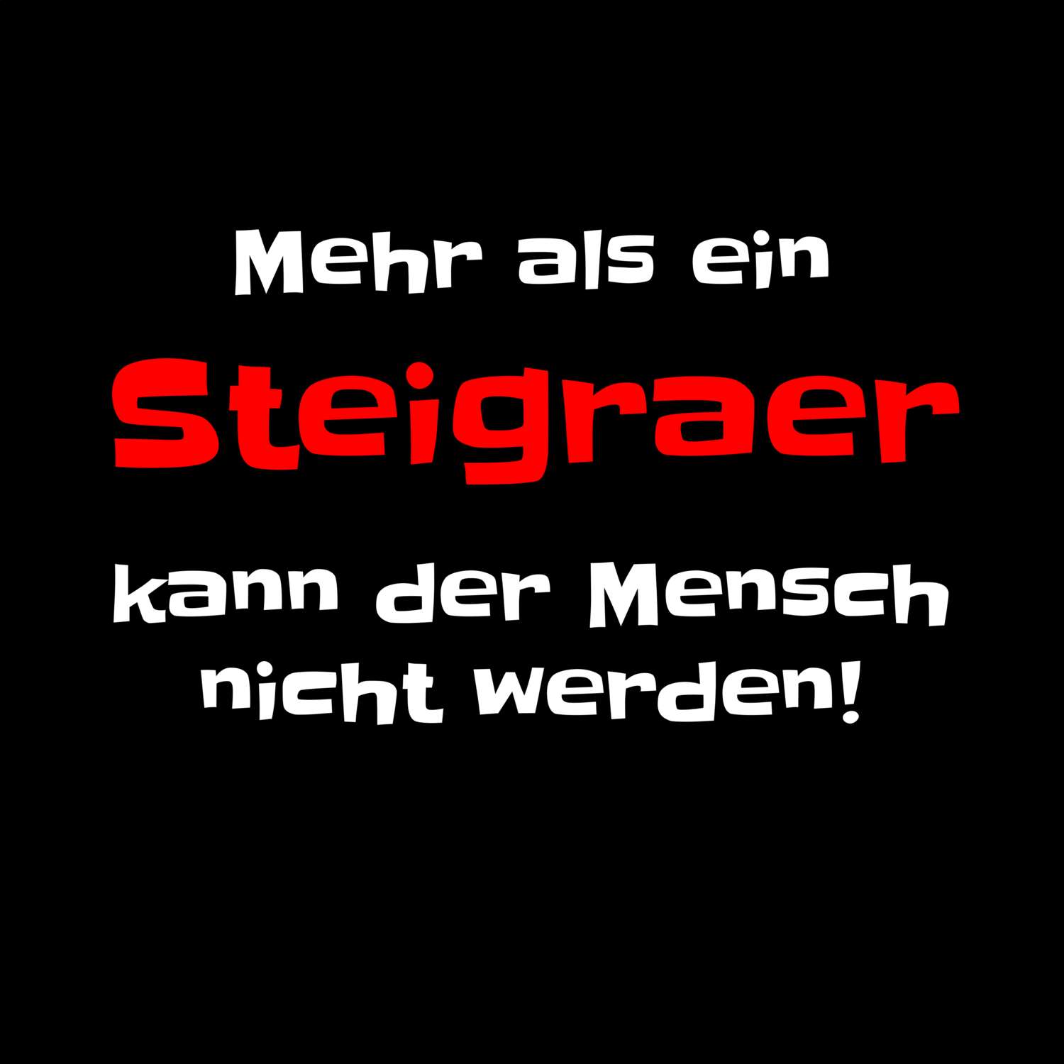 Steigra T-Shirt »Mehr als ein«