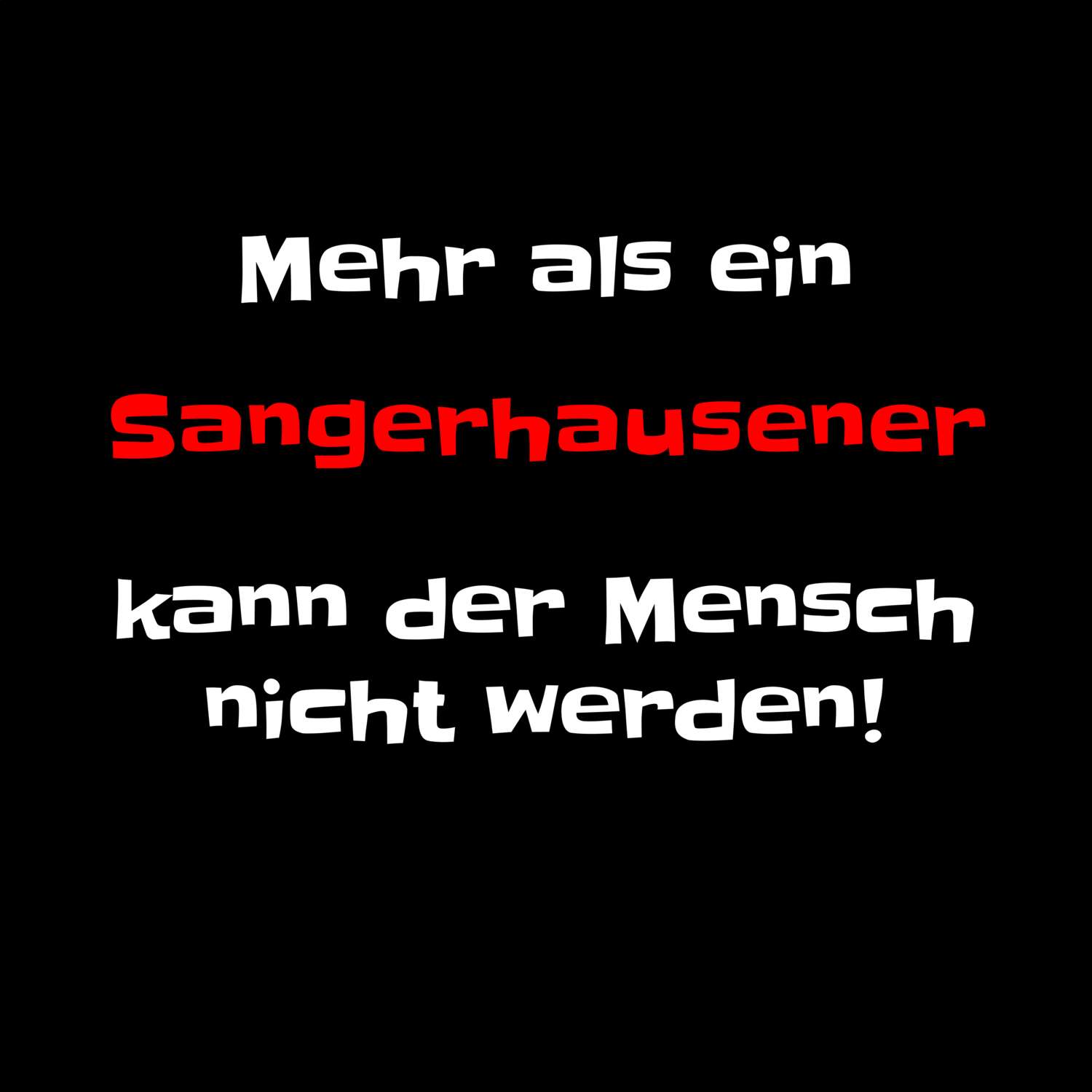 Sangerhausen T-Shirt »Mehr als ein«