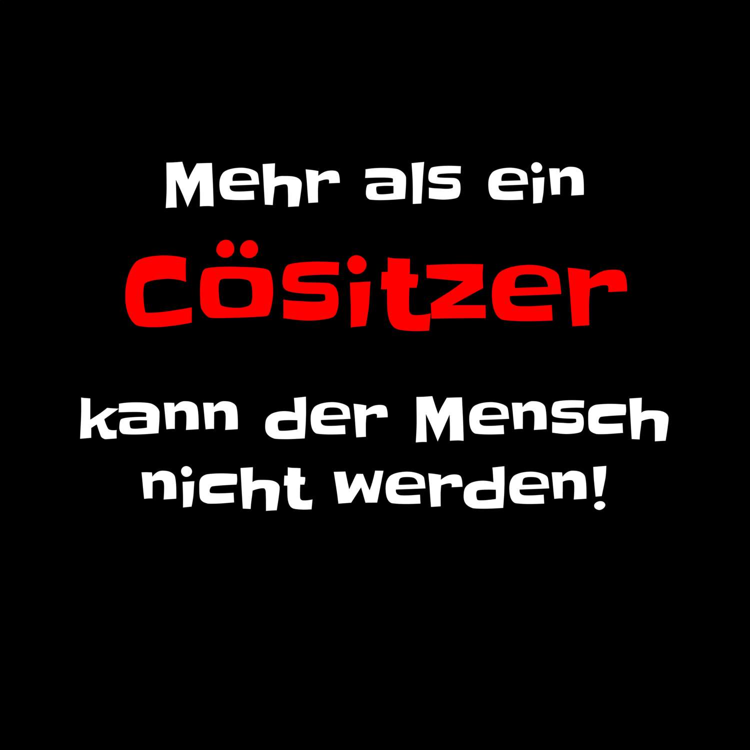 Cösitz T-Shirt »Mehr als ein«