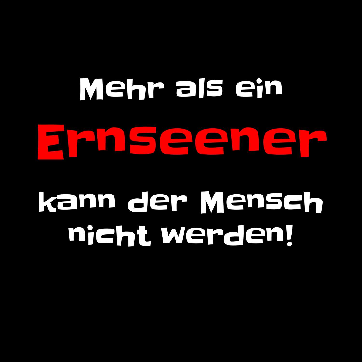 Ernsee T-Shirt »Mehr als ein«