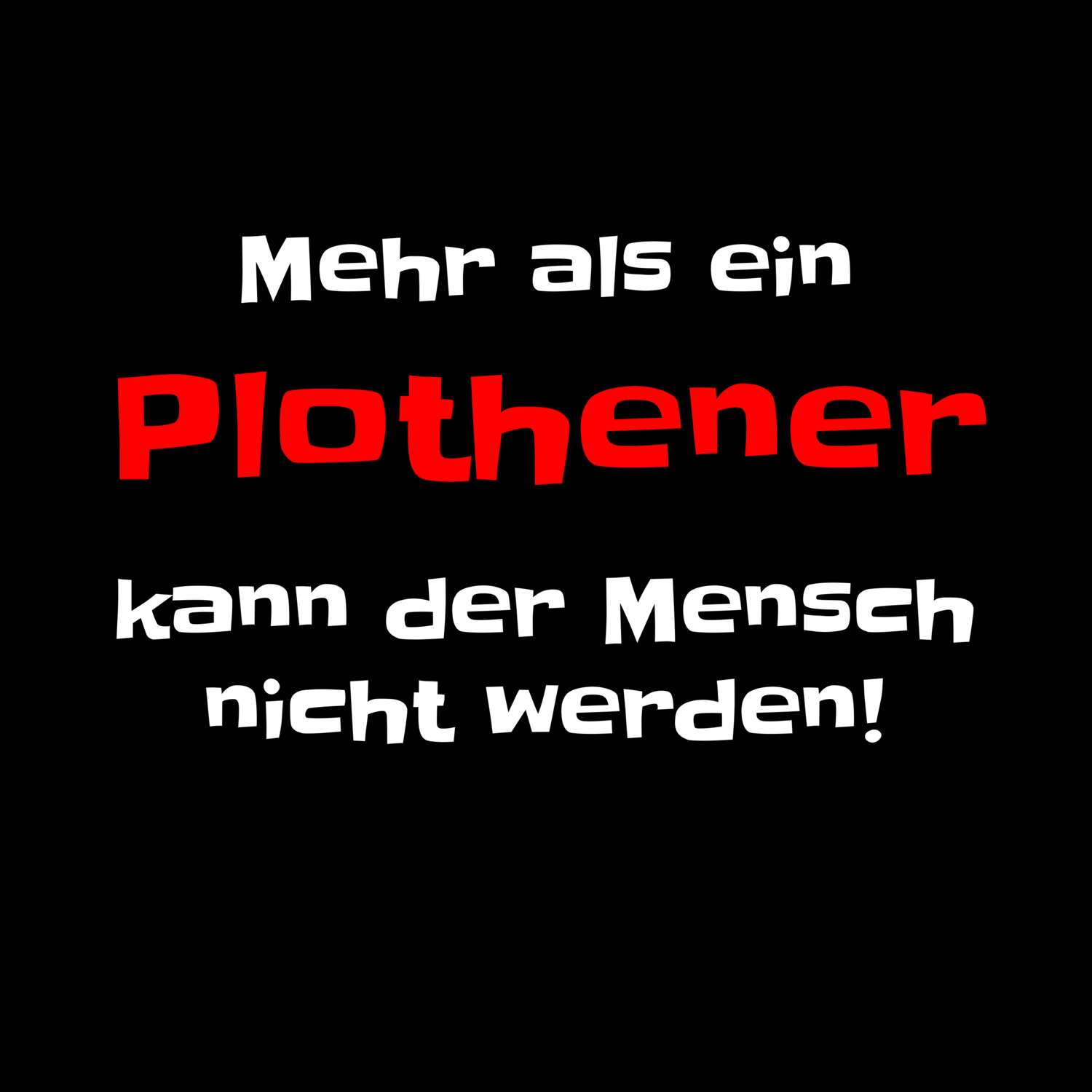 Plothen T-Shirt »Mehr als ein«