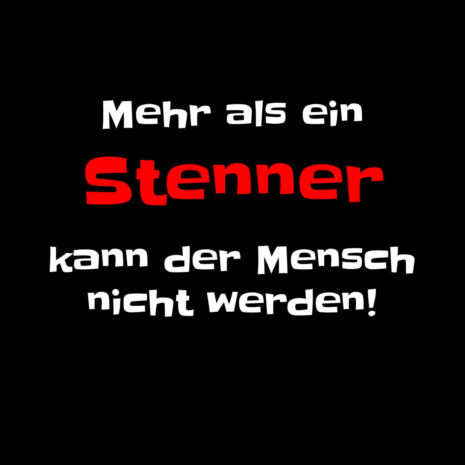 Stenn T-Shirt »Mehr als ein«