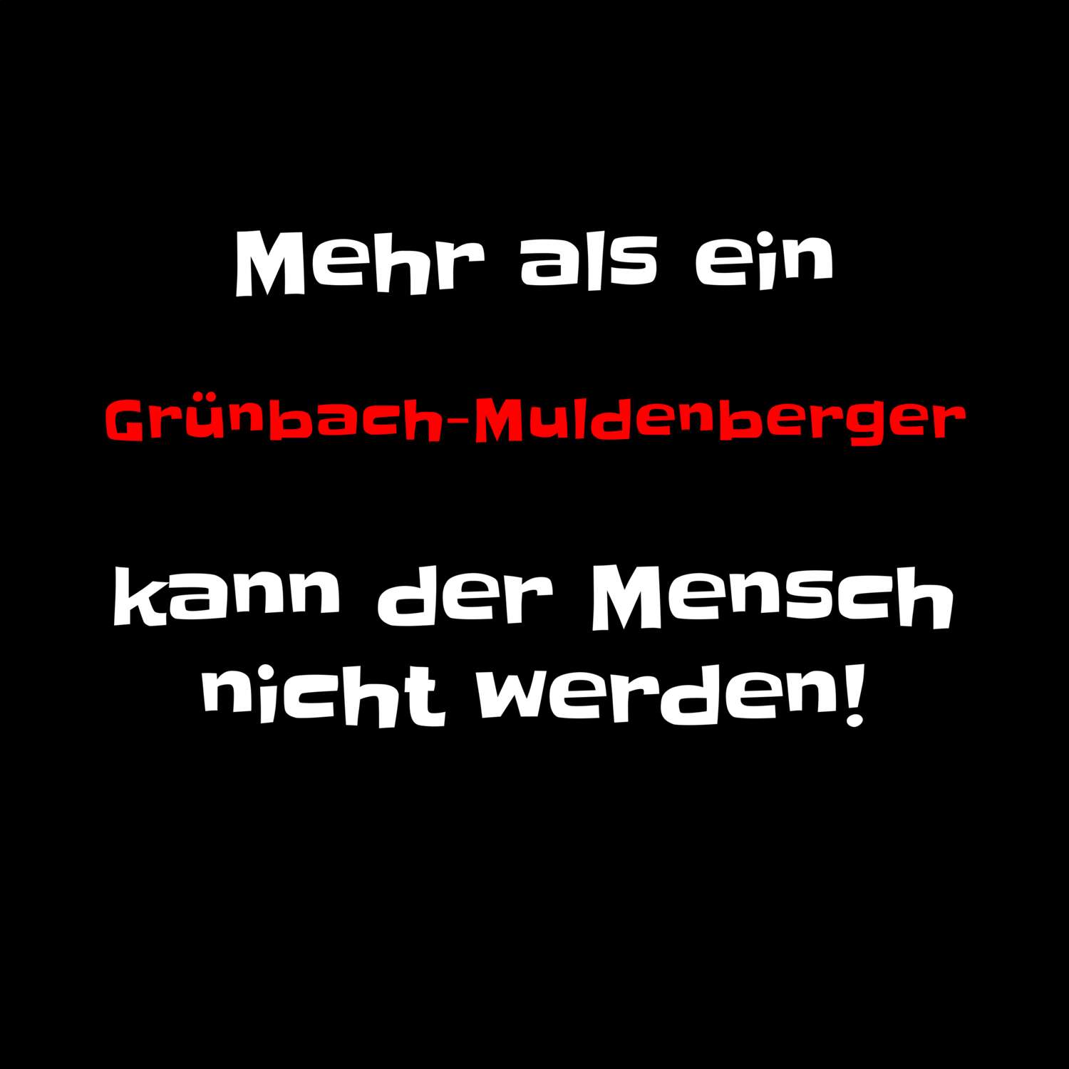 Grünbach-Muldenberg T-Shirt »Mehr als ein«