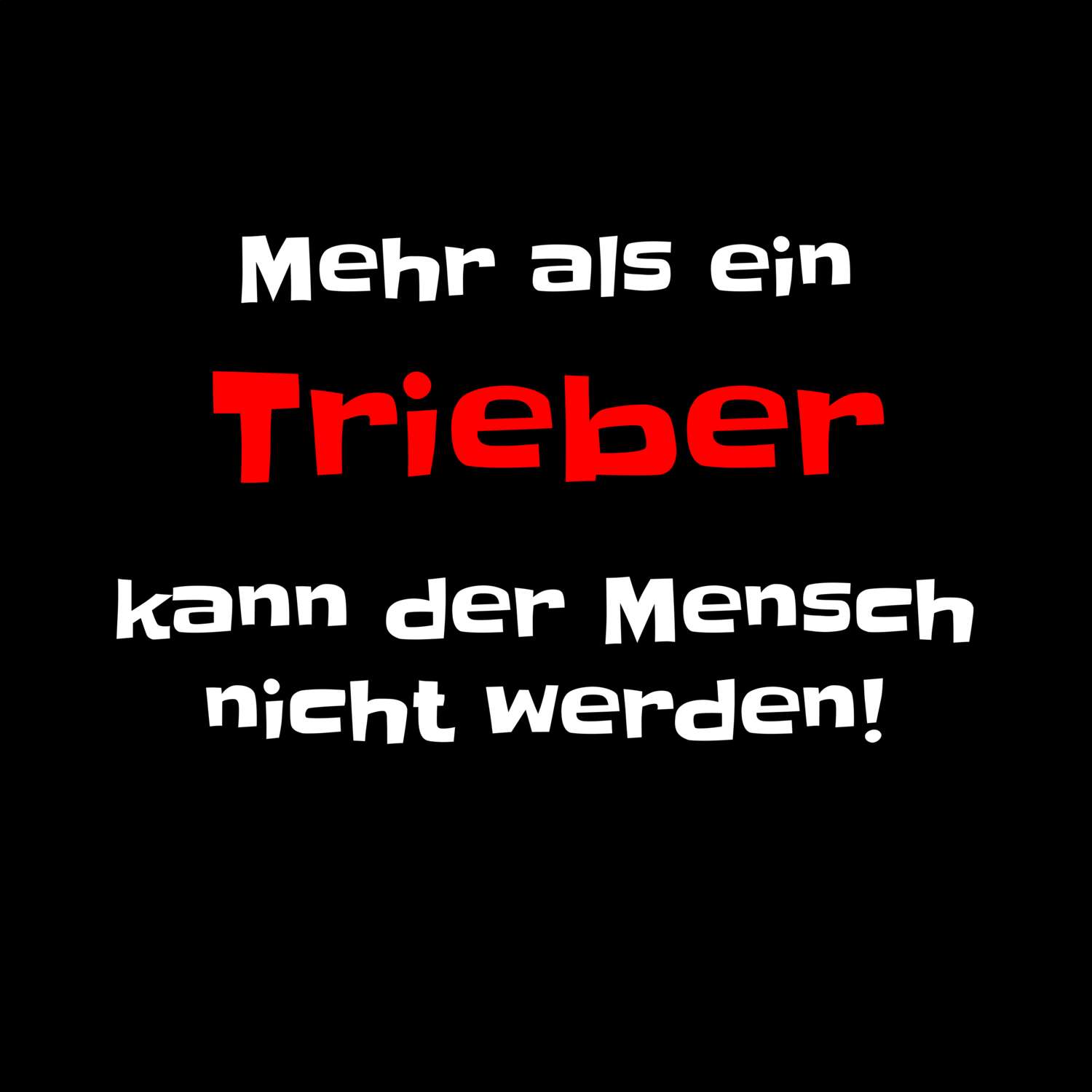 Trieb T-Shirt »Mehr als ein«