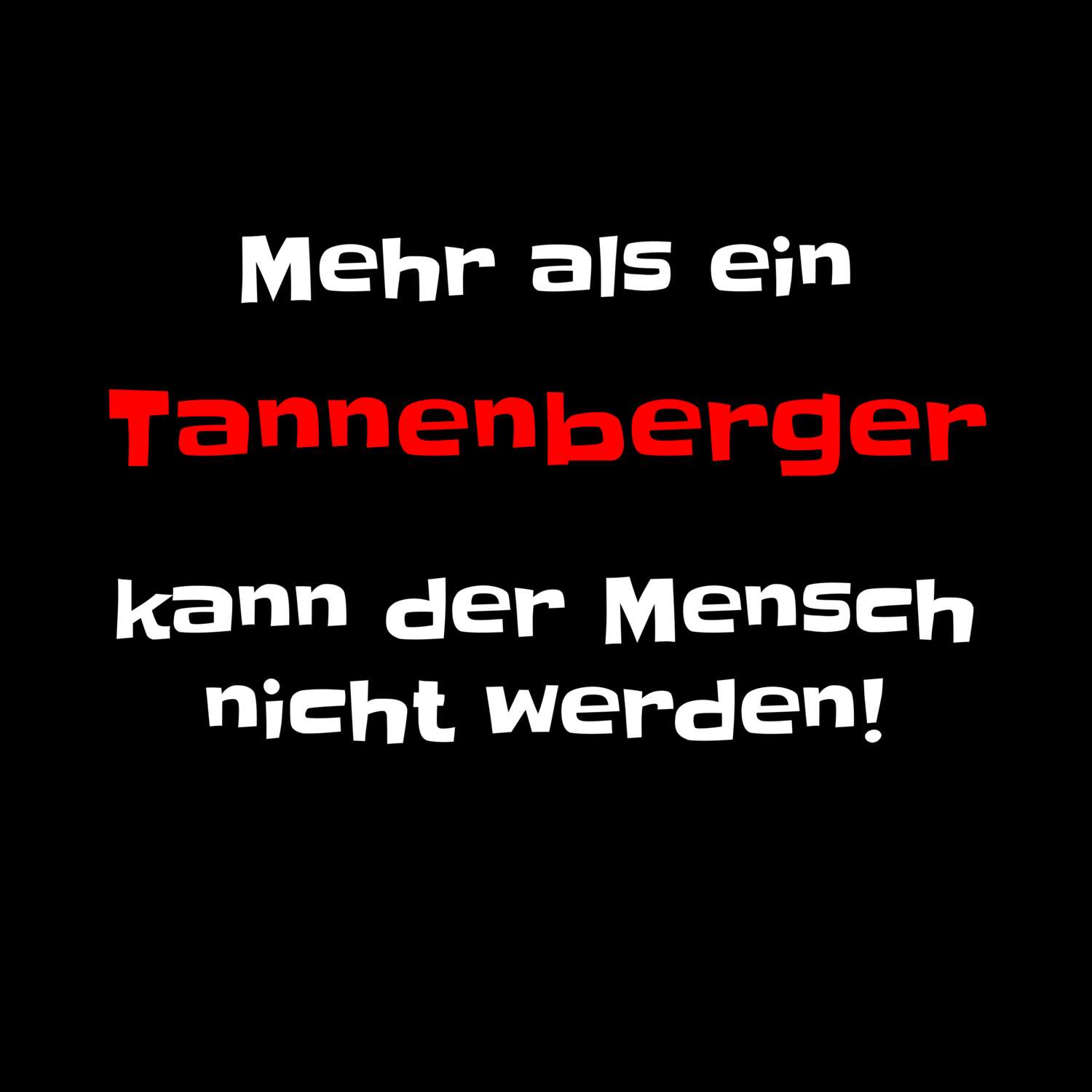 Tannenberg T-Shirt »Mehr als ein«