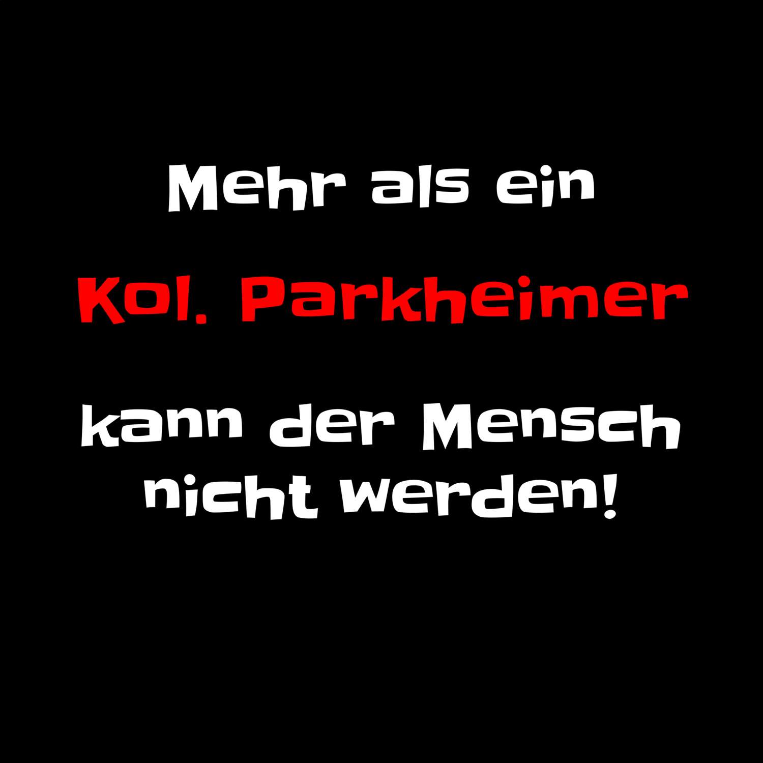 Kol. Parkheim T-Shirt »Mehr als ein«