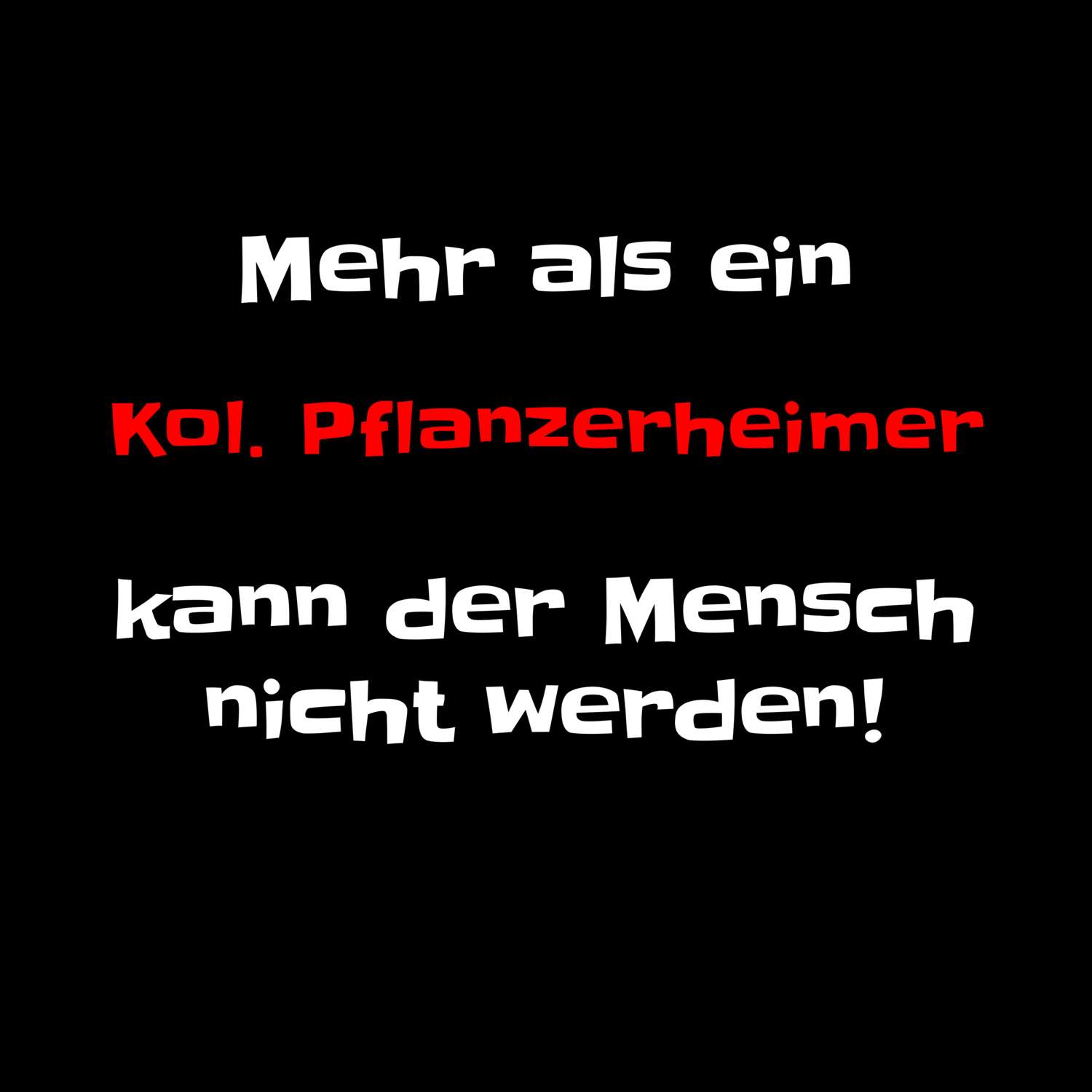 Kol. Pflanzerheim T-Shirt »Mehr als ein«