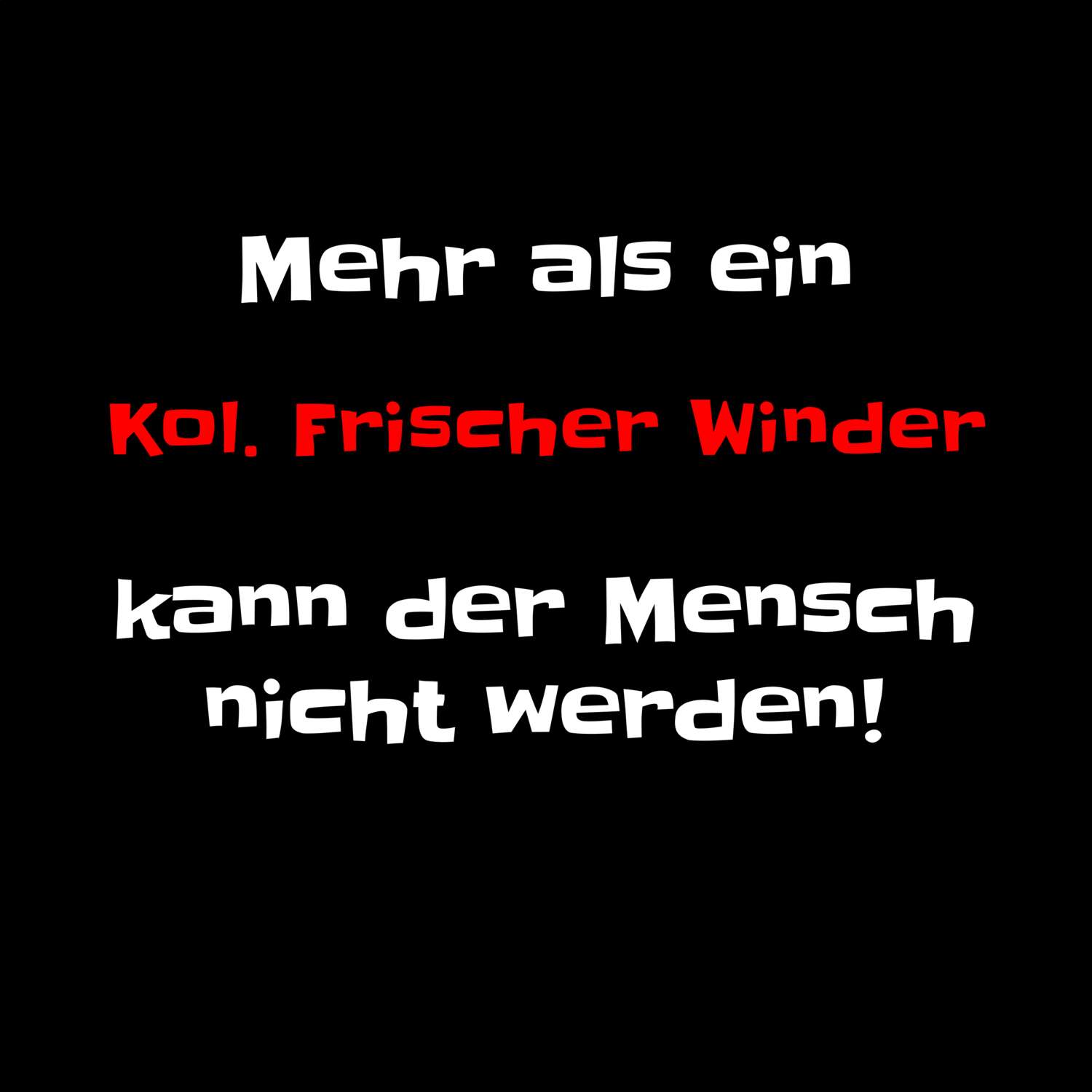 Kol. Frischer Wind T-Shirt »Mehr als ein«