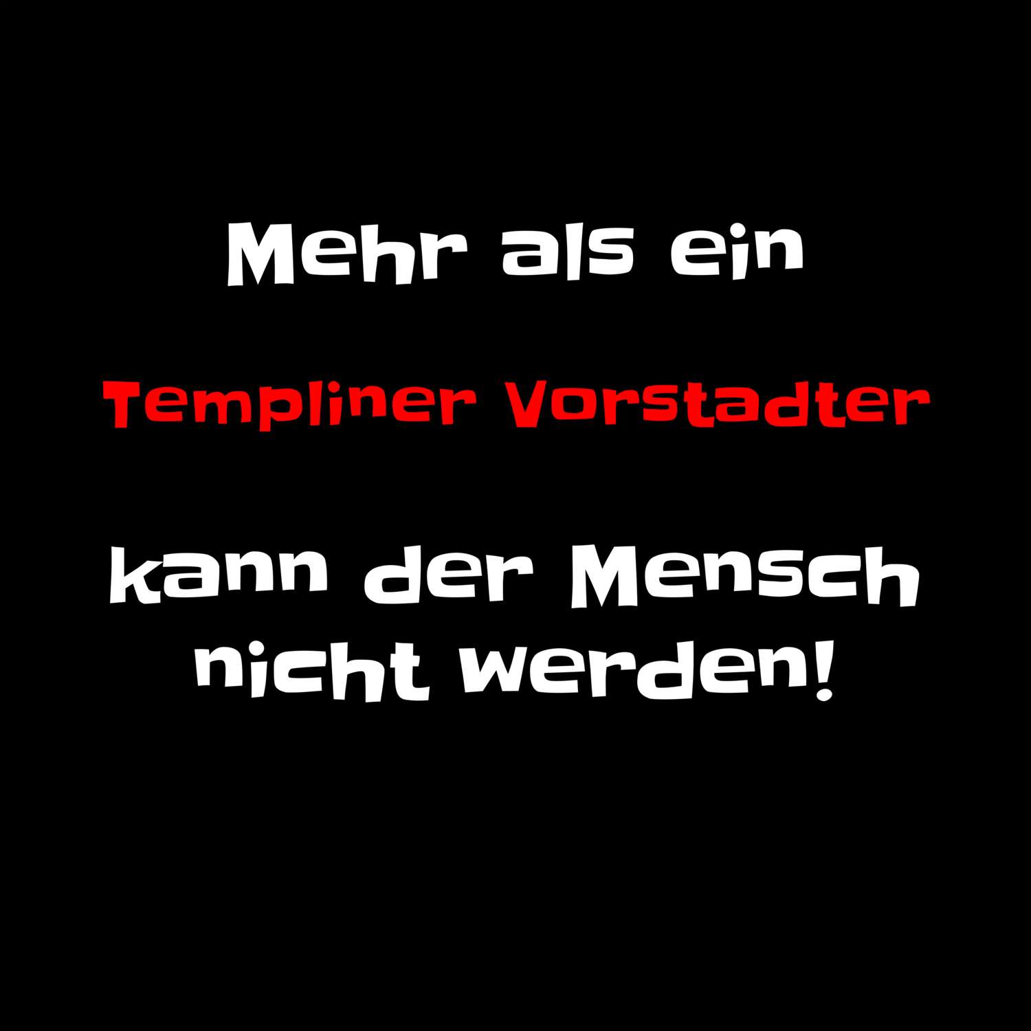 Templiner Vorstadt T-Shirt »Mehr als ein«