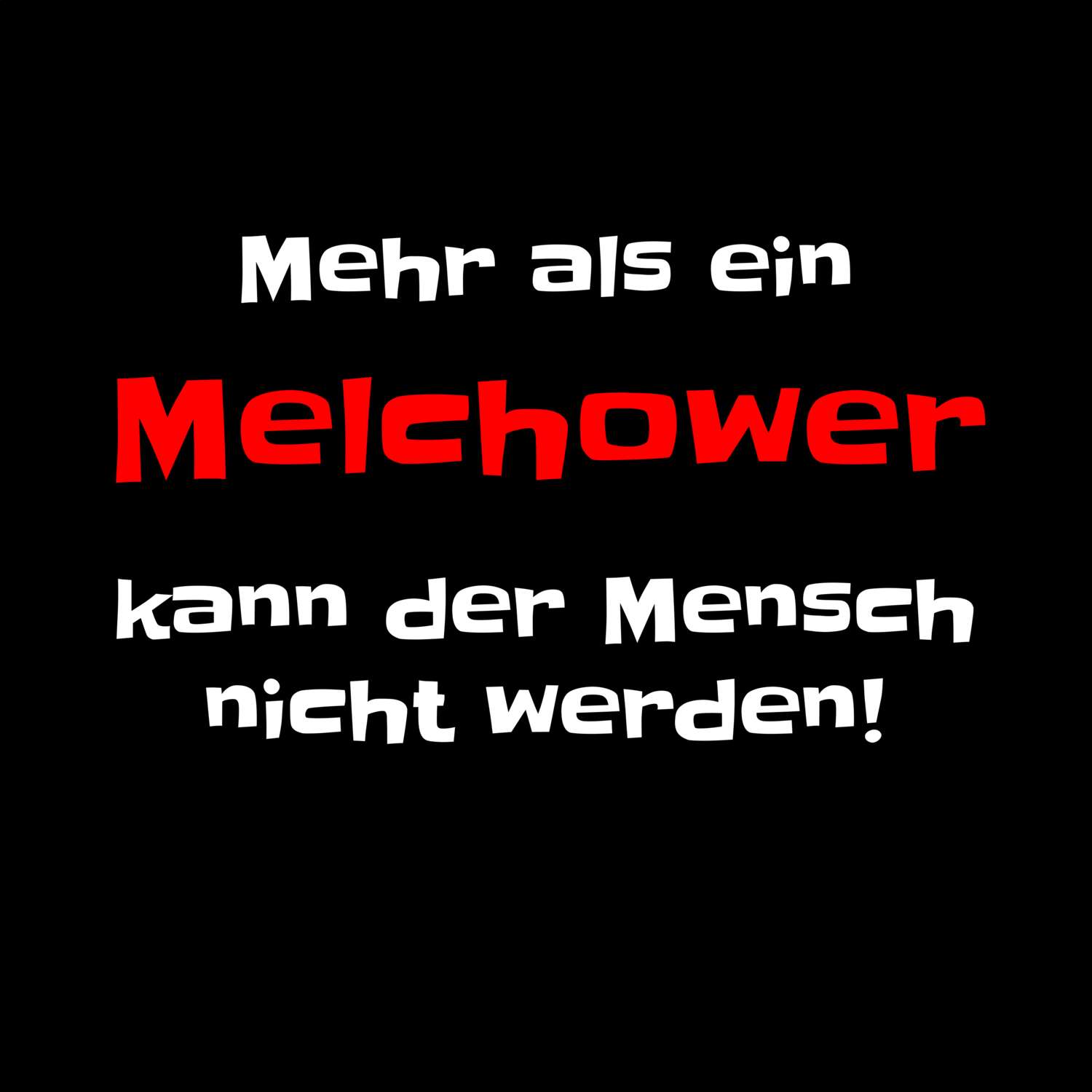 Melchow T-Shirt »Mehr als ein«