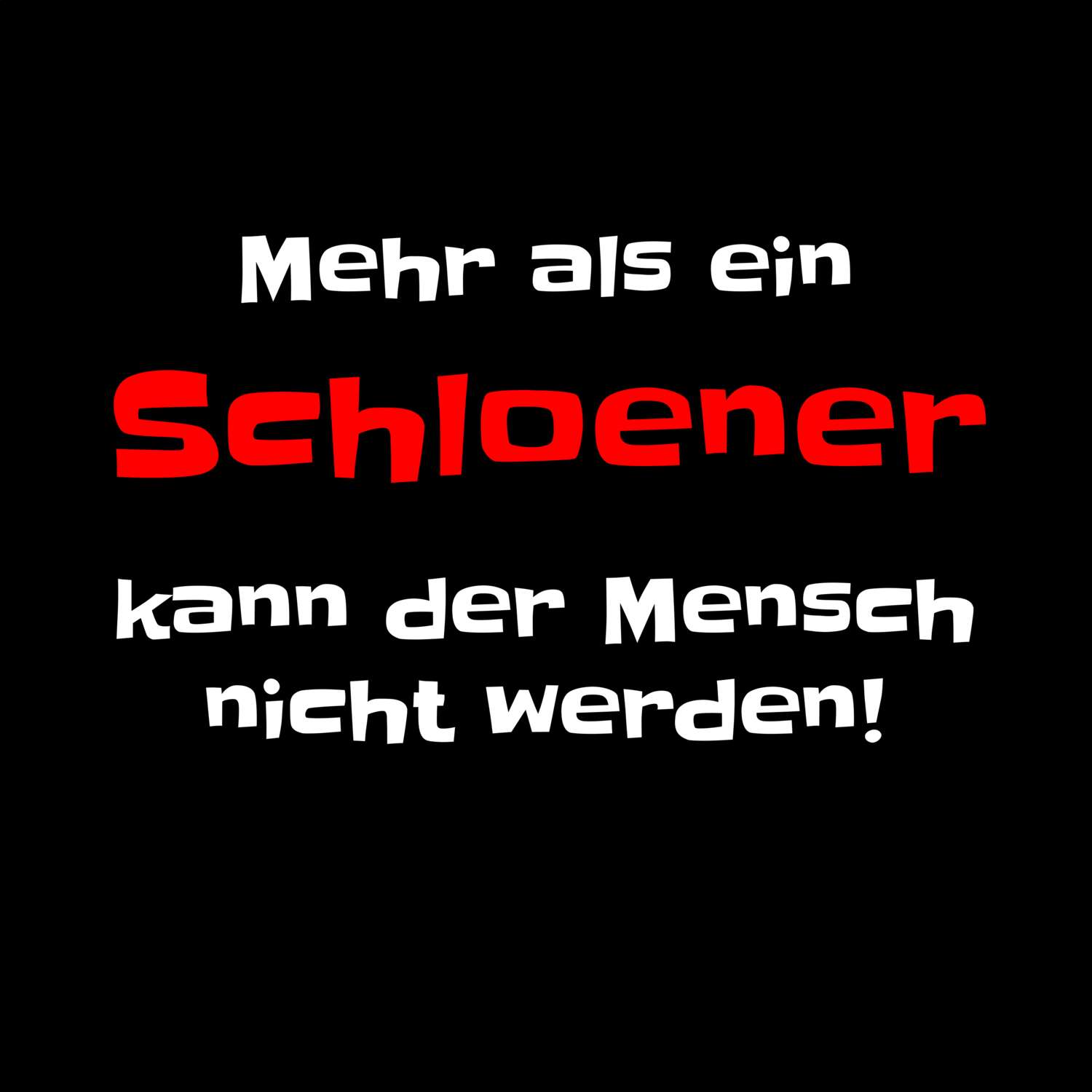 Schloen T-Shirt »Mehr als ein«