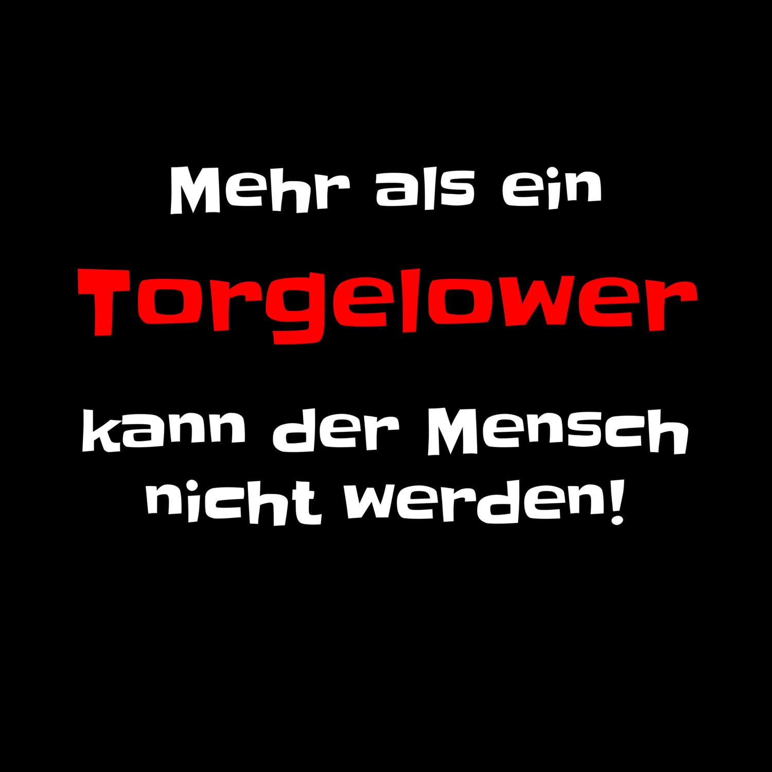 Torgelow T-Shirt »Mehr als ein«