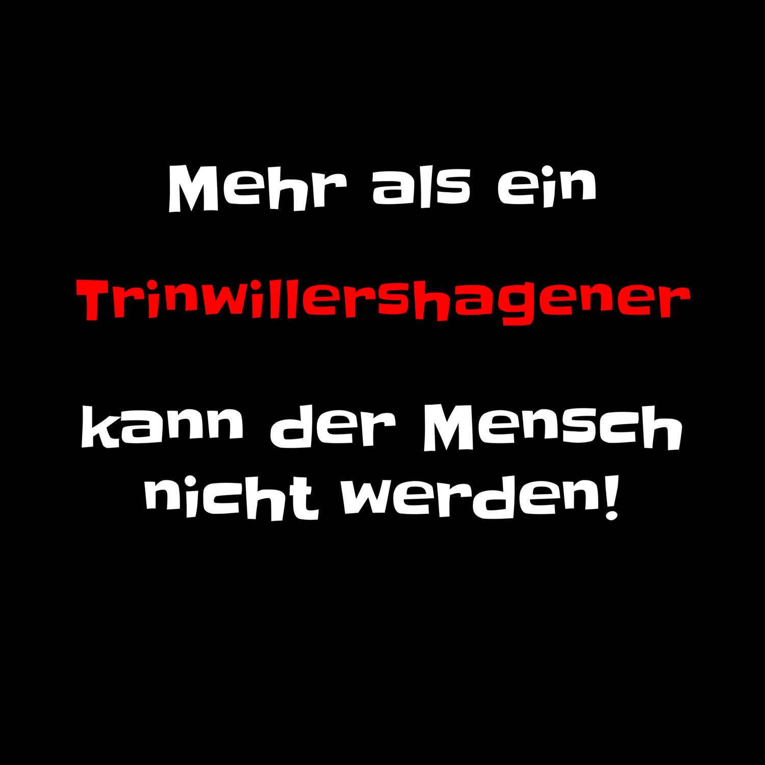 Trinwillershagen T-Shirt »Mehr als ein«