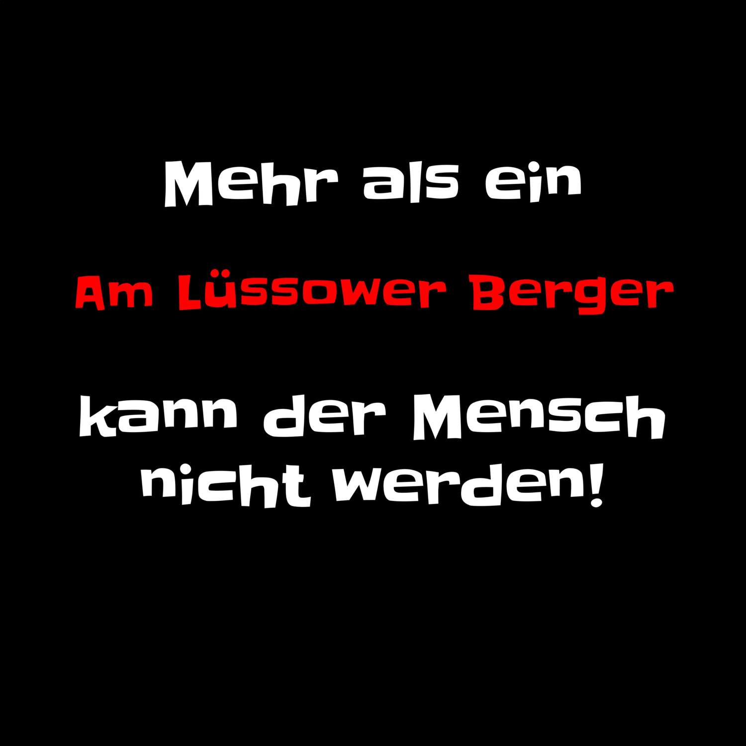 Am Lüssower Berg T-Shirt »Mehr als ein«