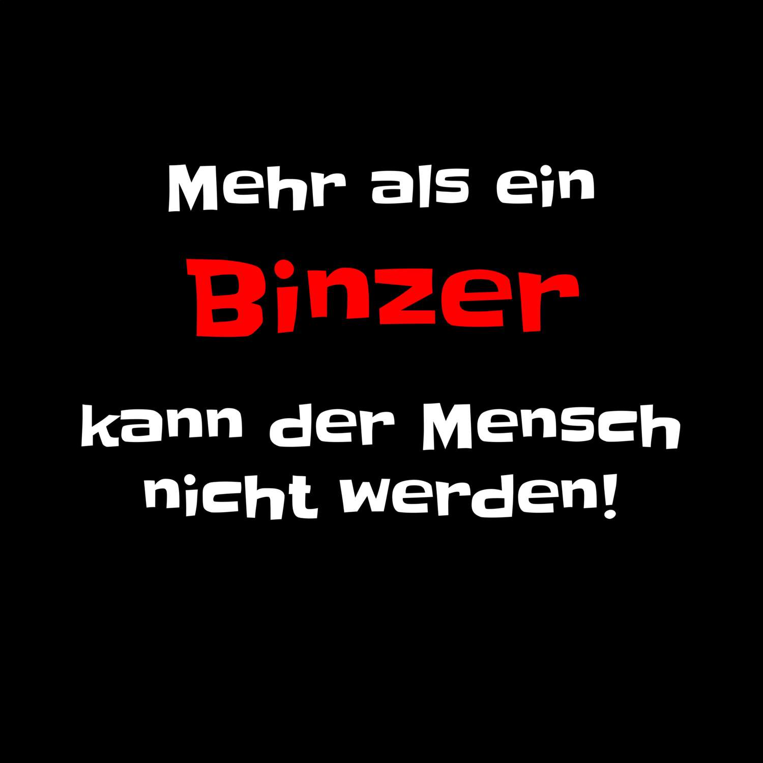 Binz T-Shirt »Mehr als ein«