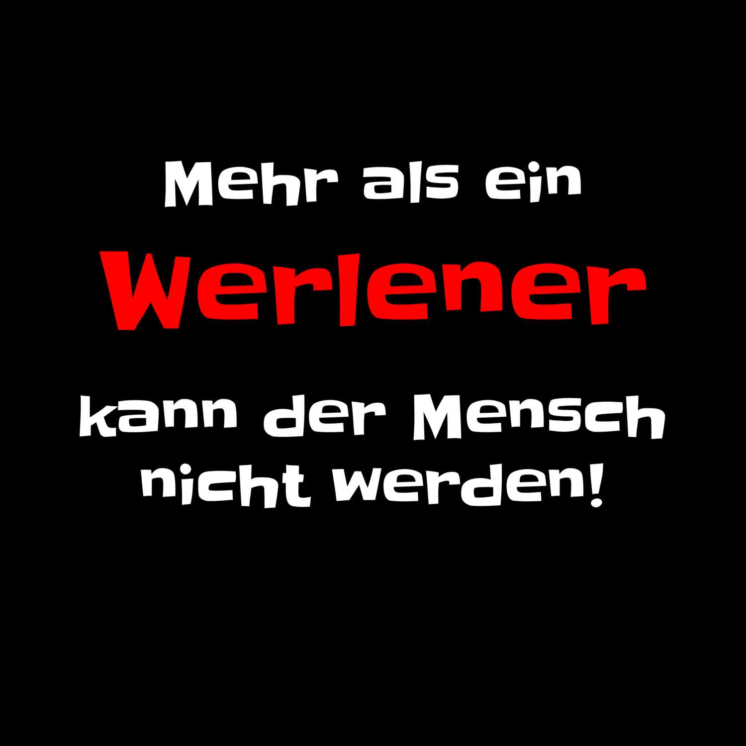 Werle T-Shirt »Mehr als ein«