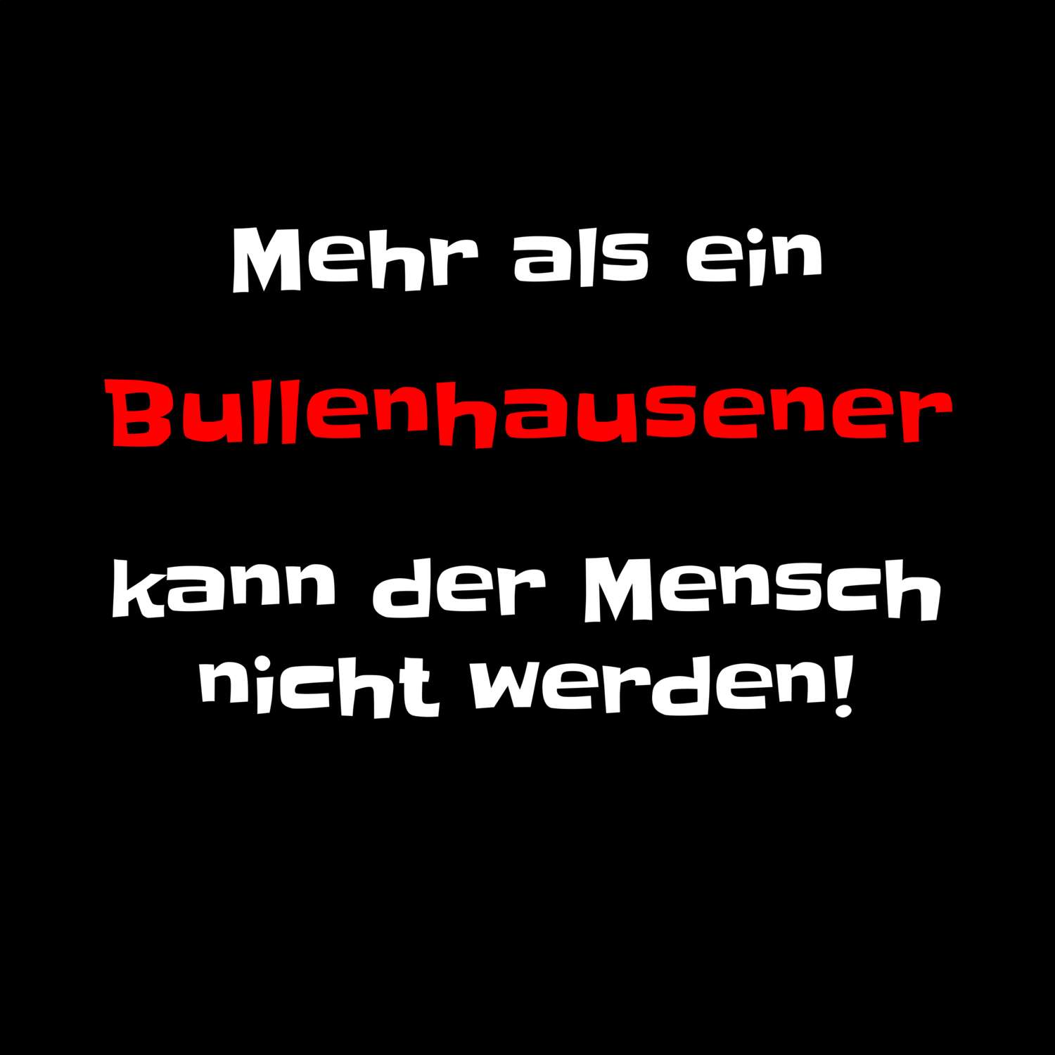 Bullenhausen T-Shirt »Mehr als ein«