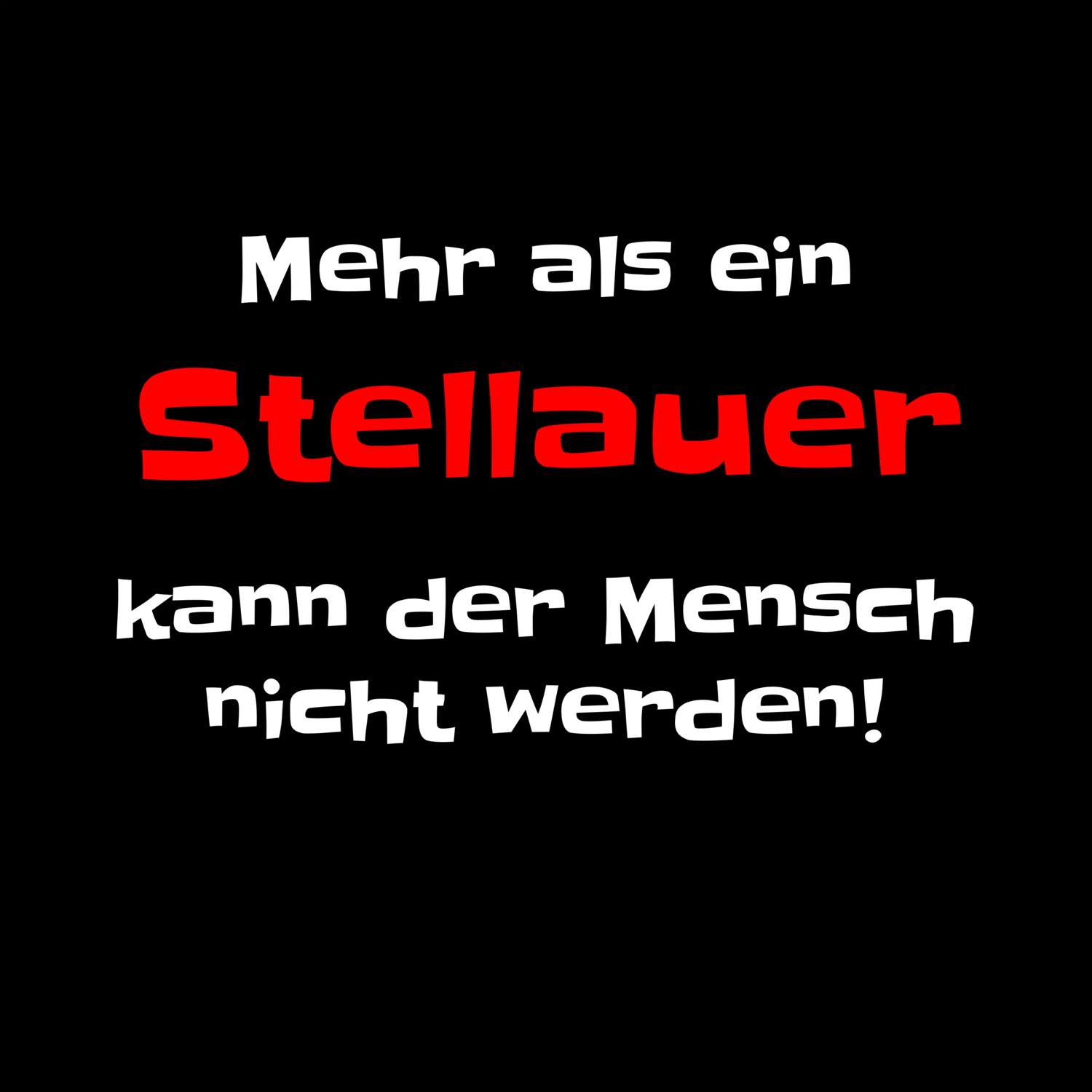 Stellau T-Shirt »Mehr als ein«