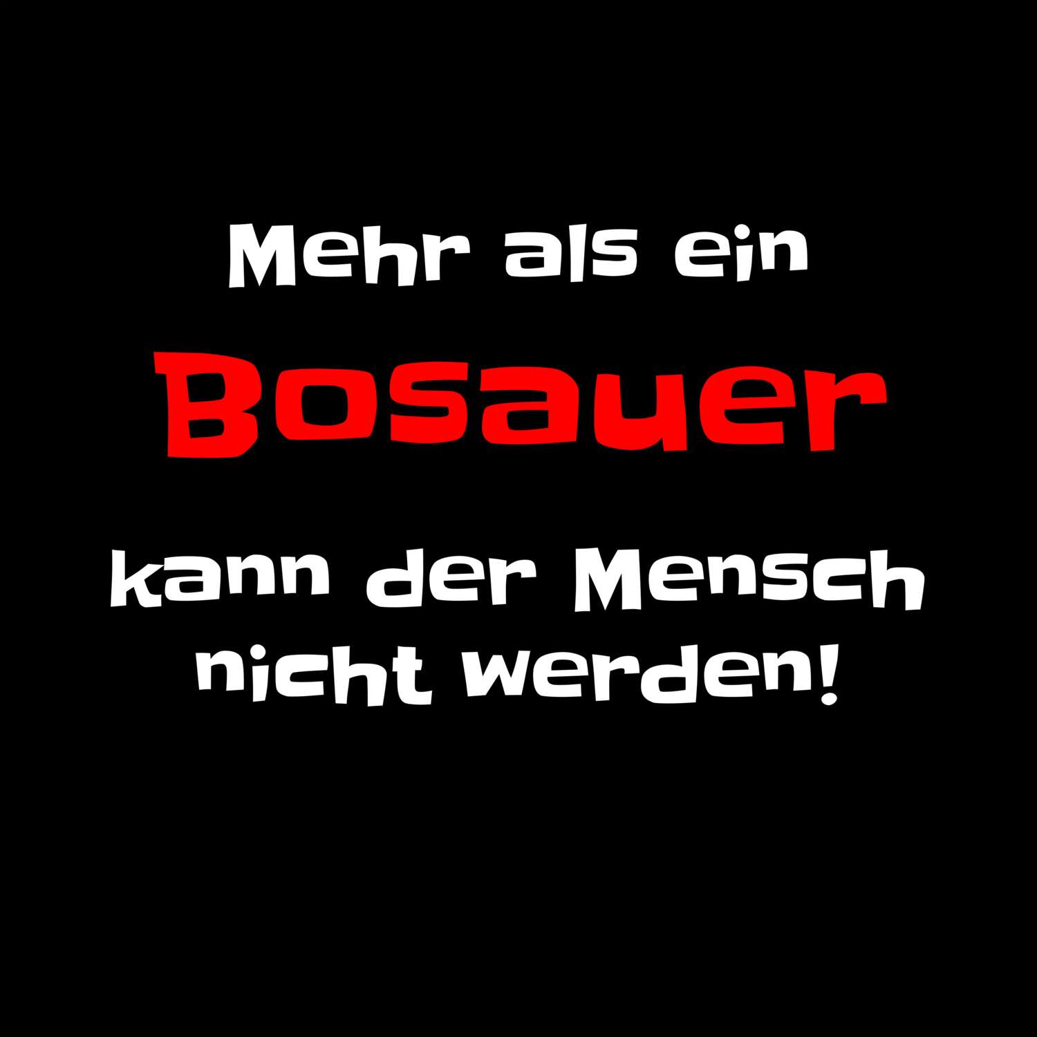 Bosau T-Shirt »Mehr als ein«