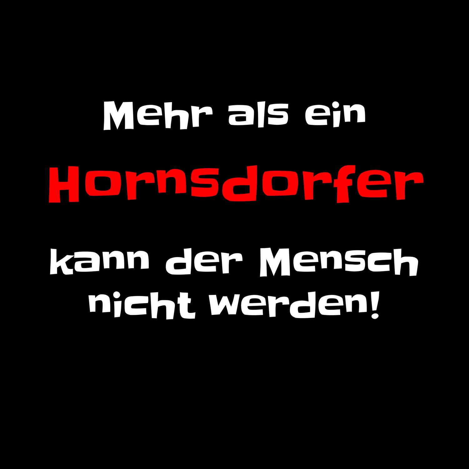 Hornsdorf T-Shirt »Mehr als ein«