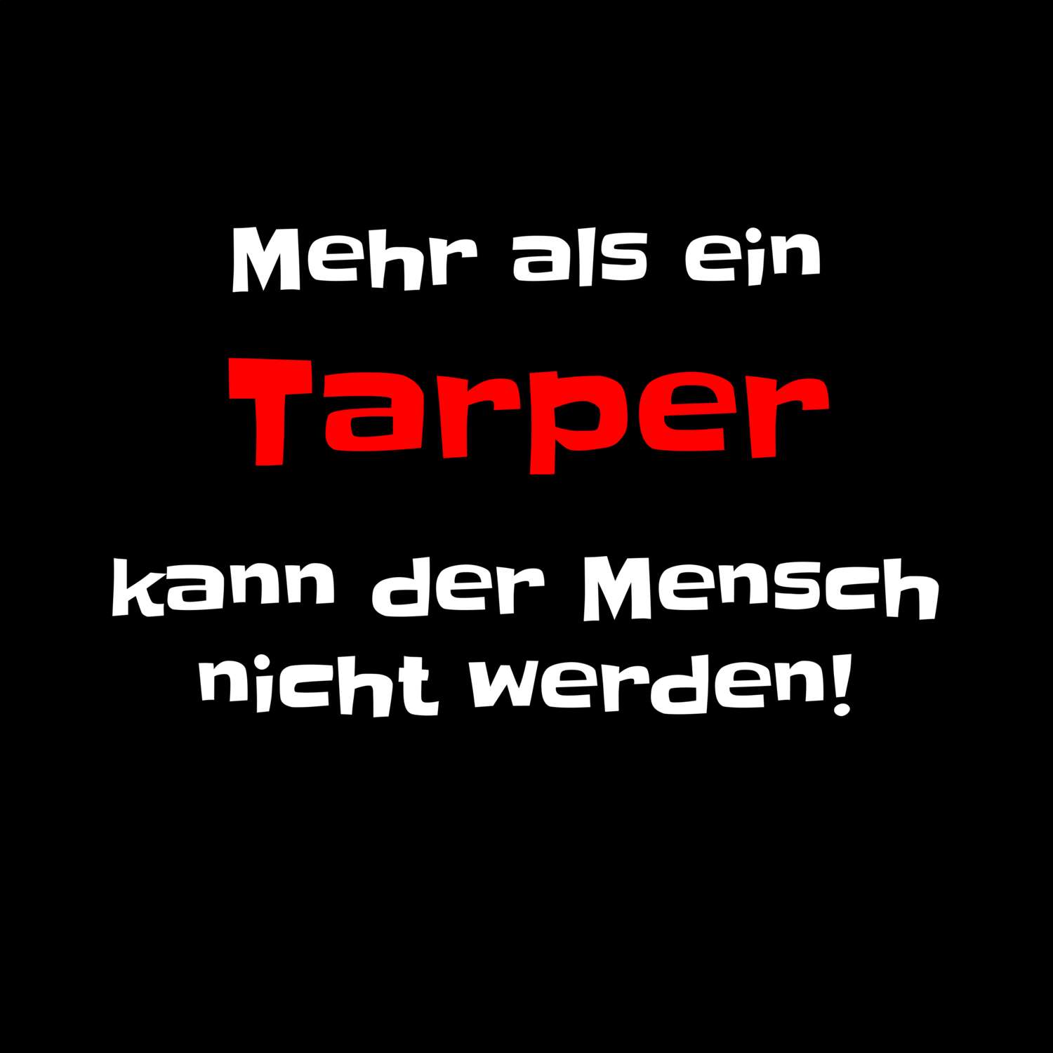 Tarp T-Shirt »Mehr als ein«