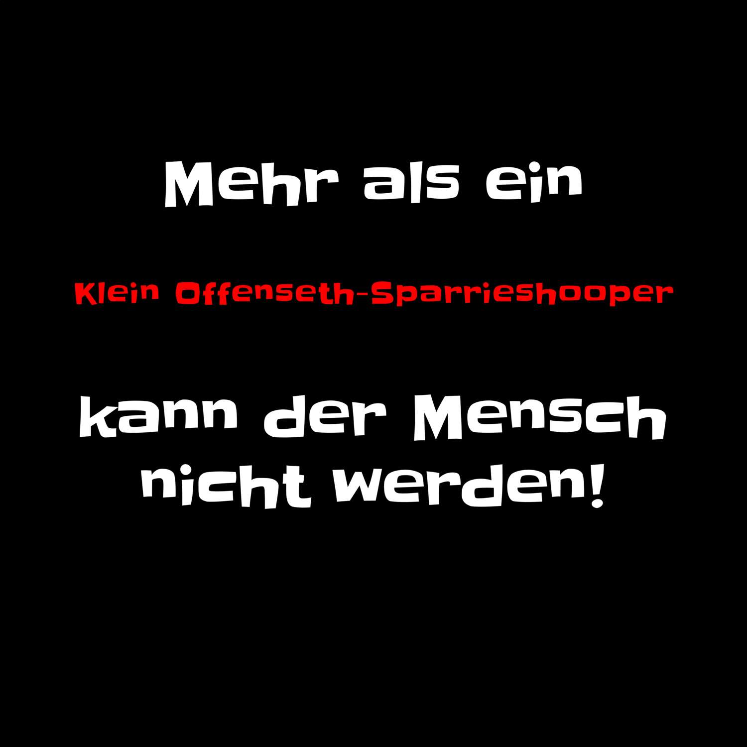 T-Shirt »Mehr als ein« für den Ort »Klein Offenseth-Sparrieshoop«